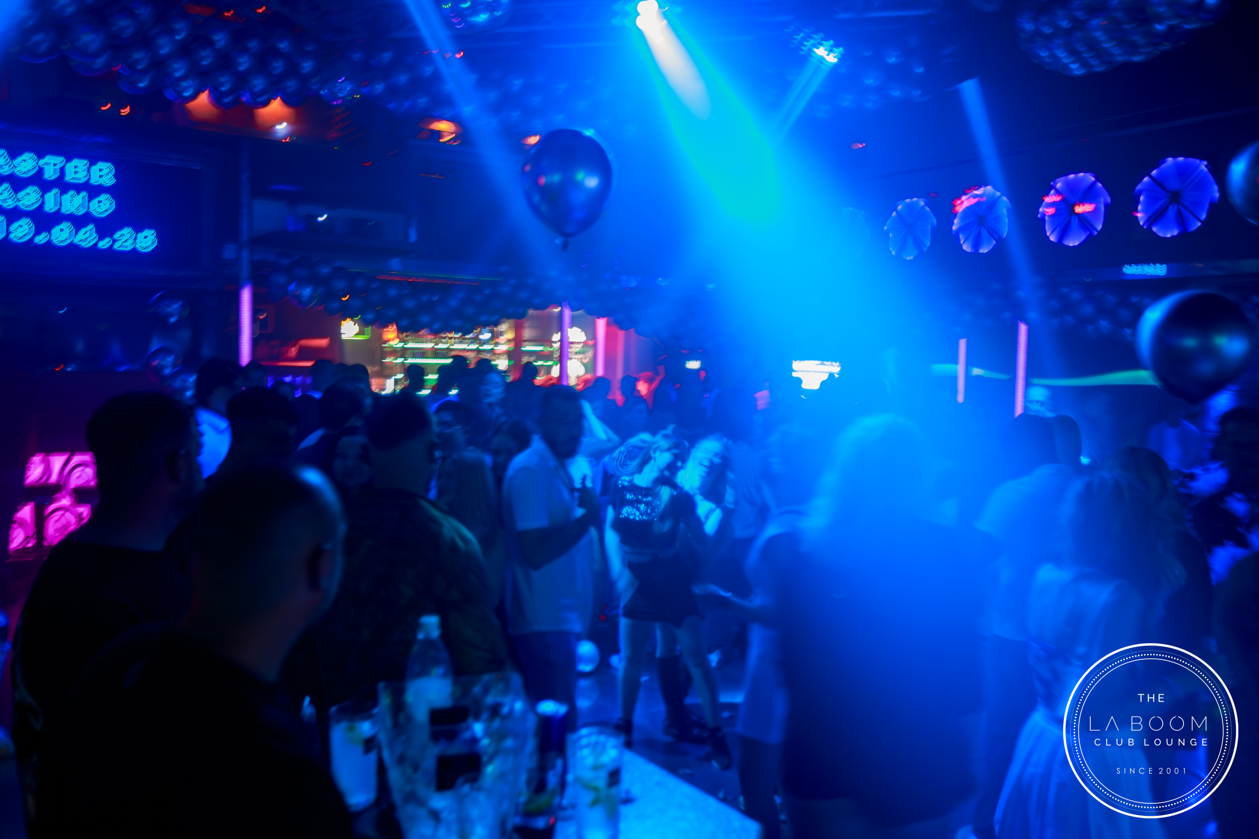 IMG 8786 Verbessert RR