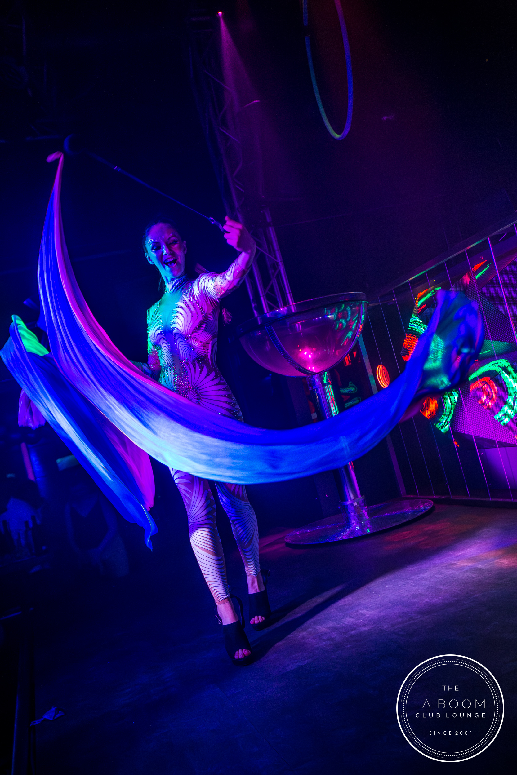 IMG 8808 Verbessert RR