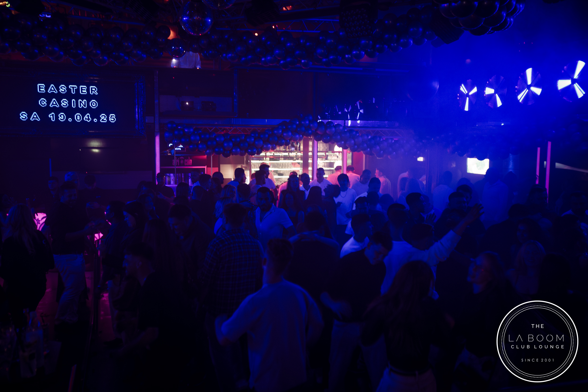 IMG 8886 Verbessert RR