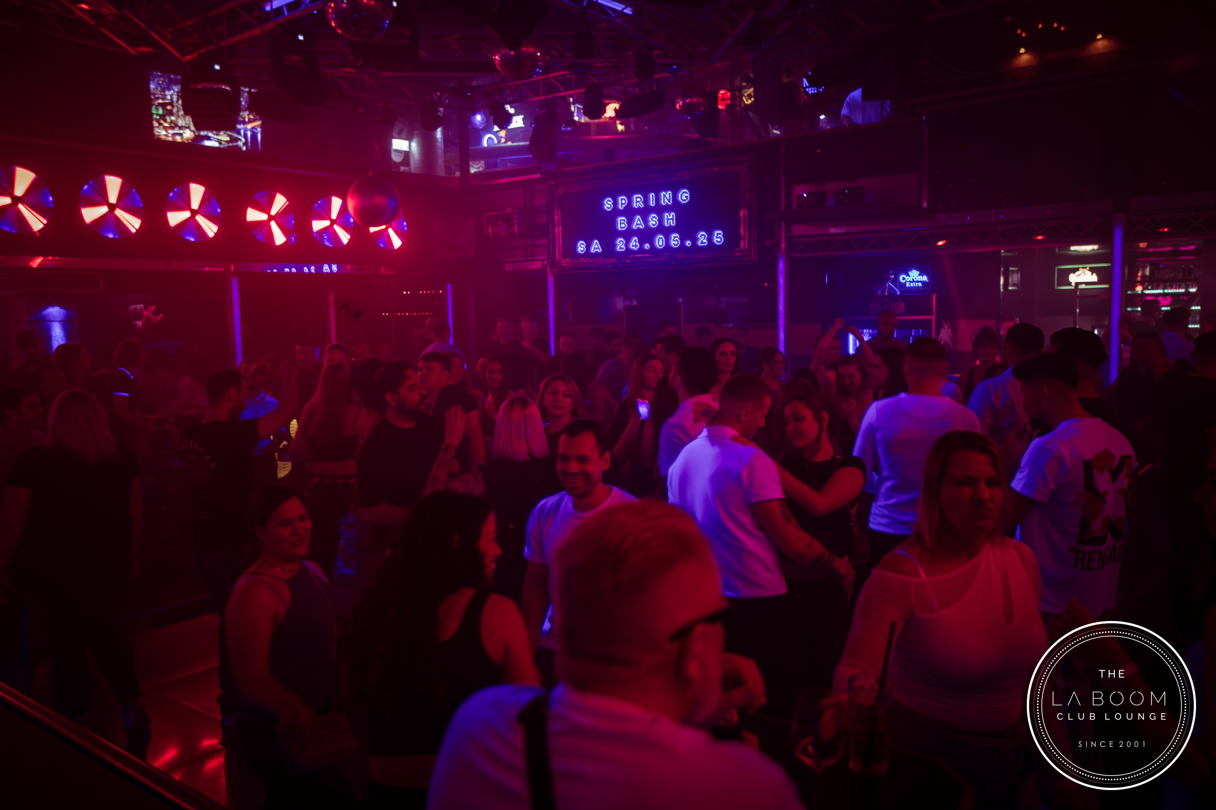 IMG 9325 Verbessert RR