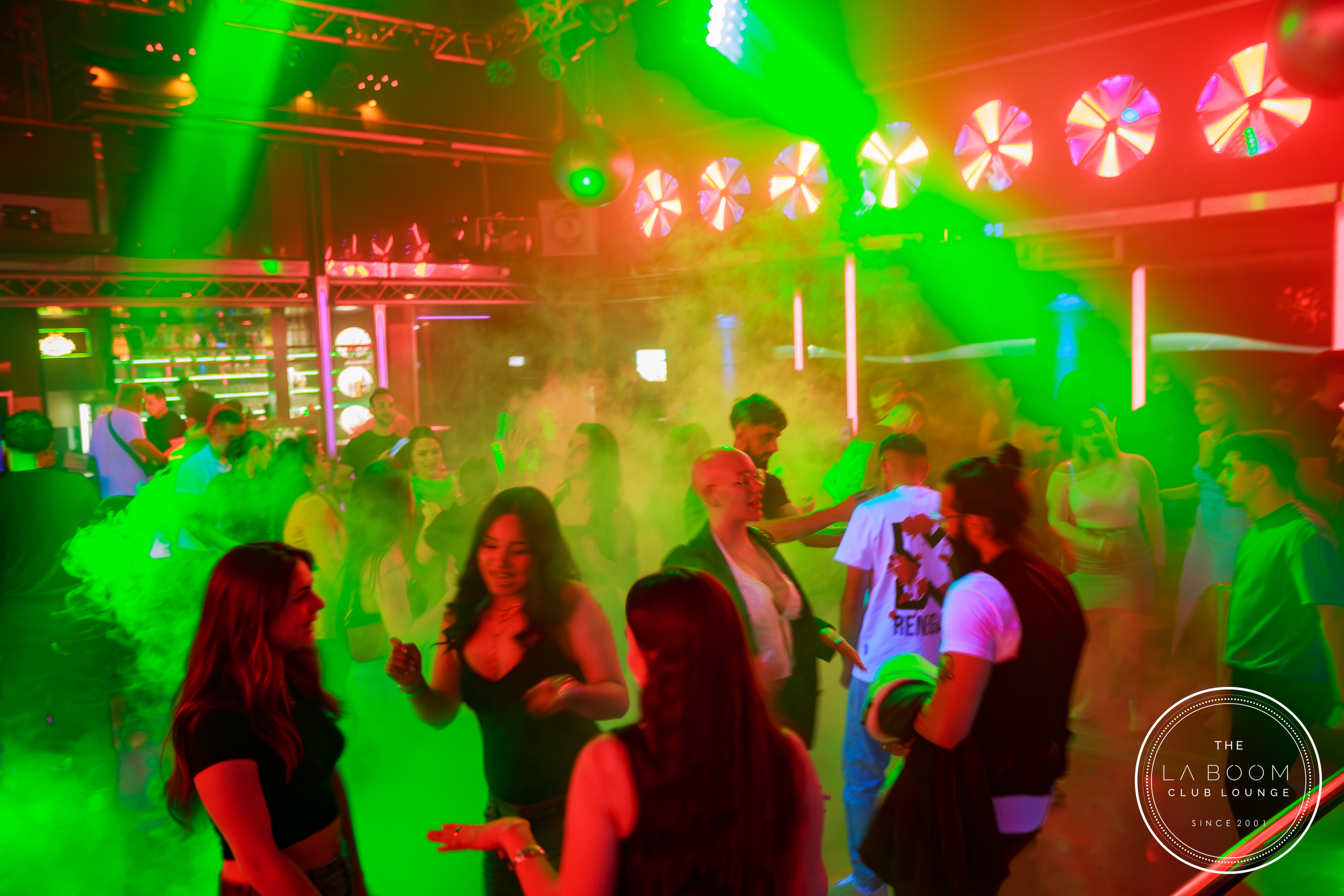 IMG 9339 Verbessert RR