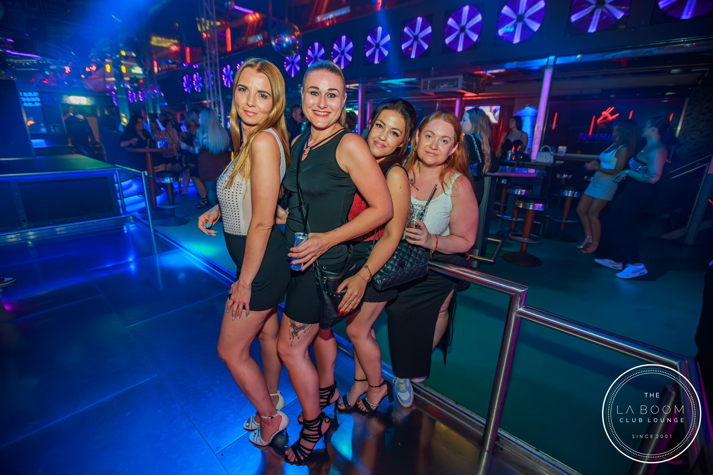 IMG 9381 Verbessert RR