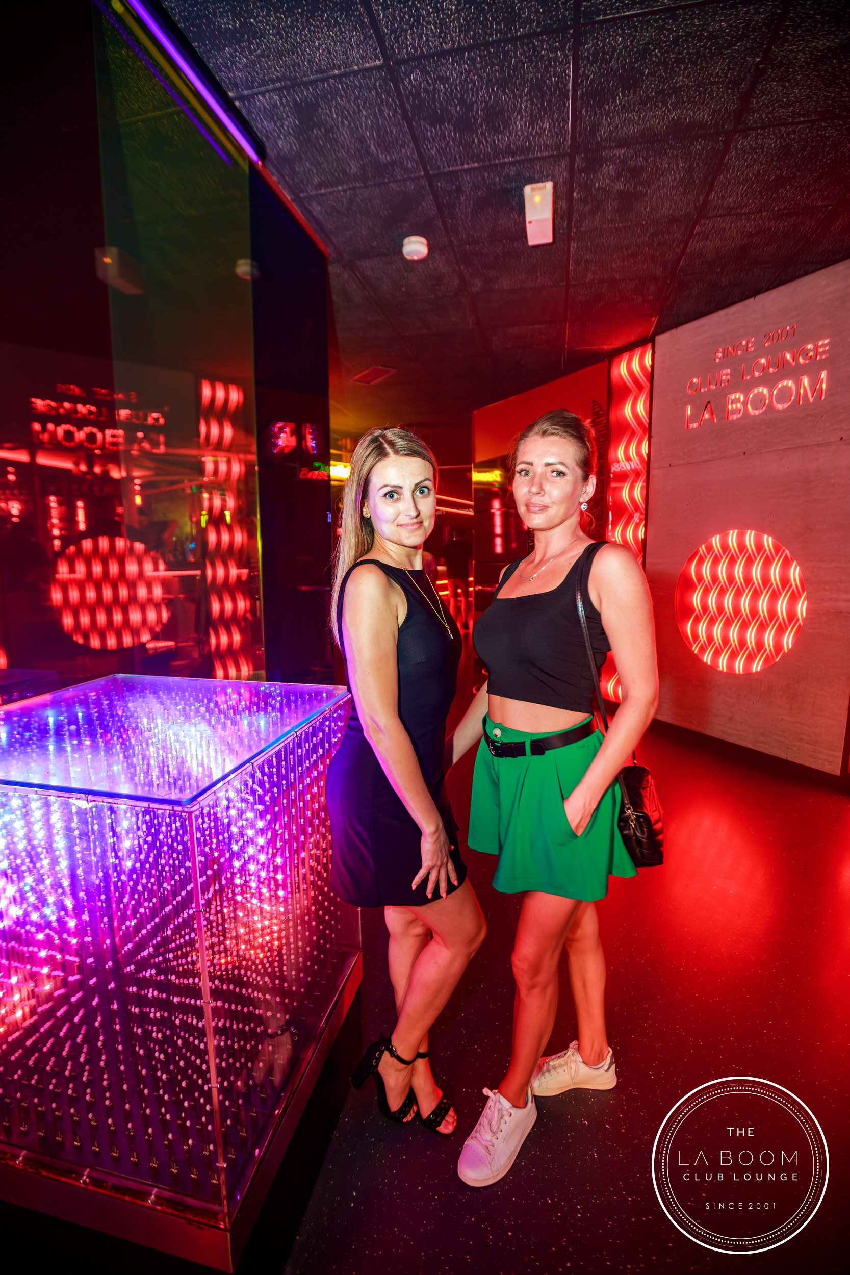 IMG 9558 Verbessert RR