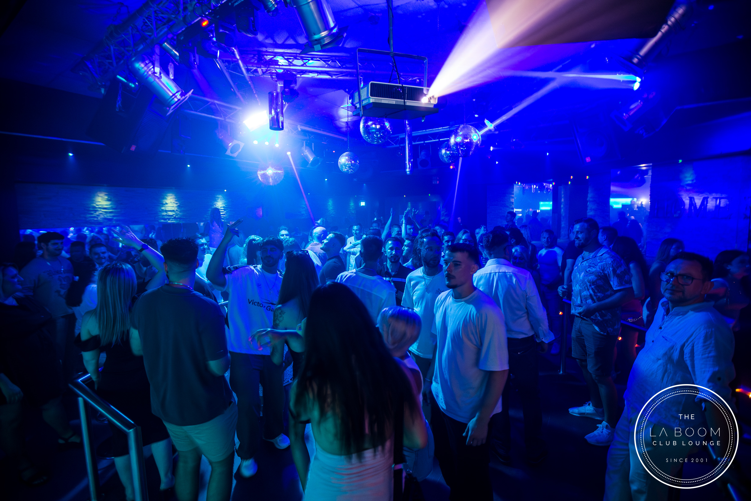 IMG 9565 Verbessert RR