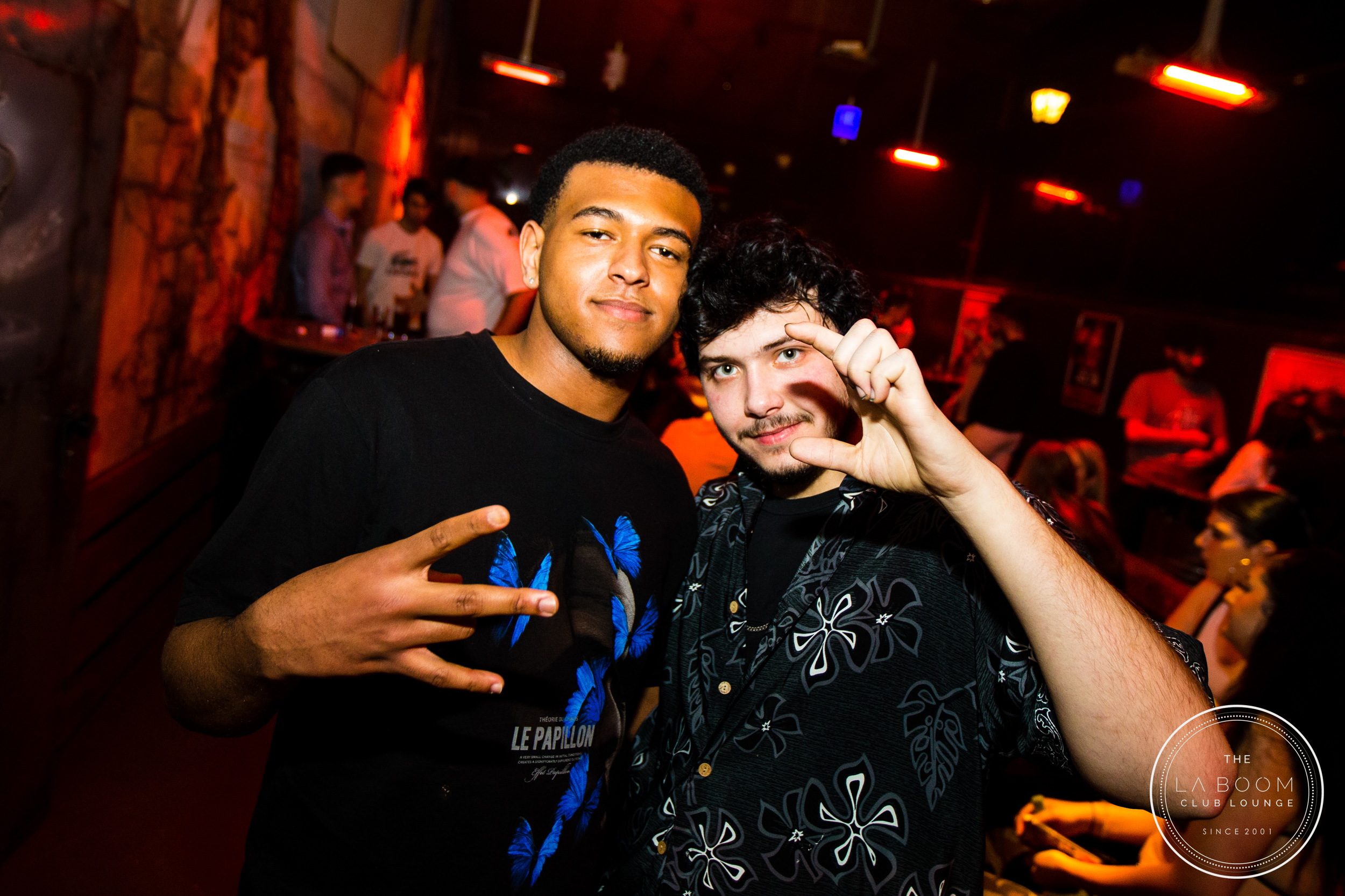 IMG 6181