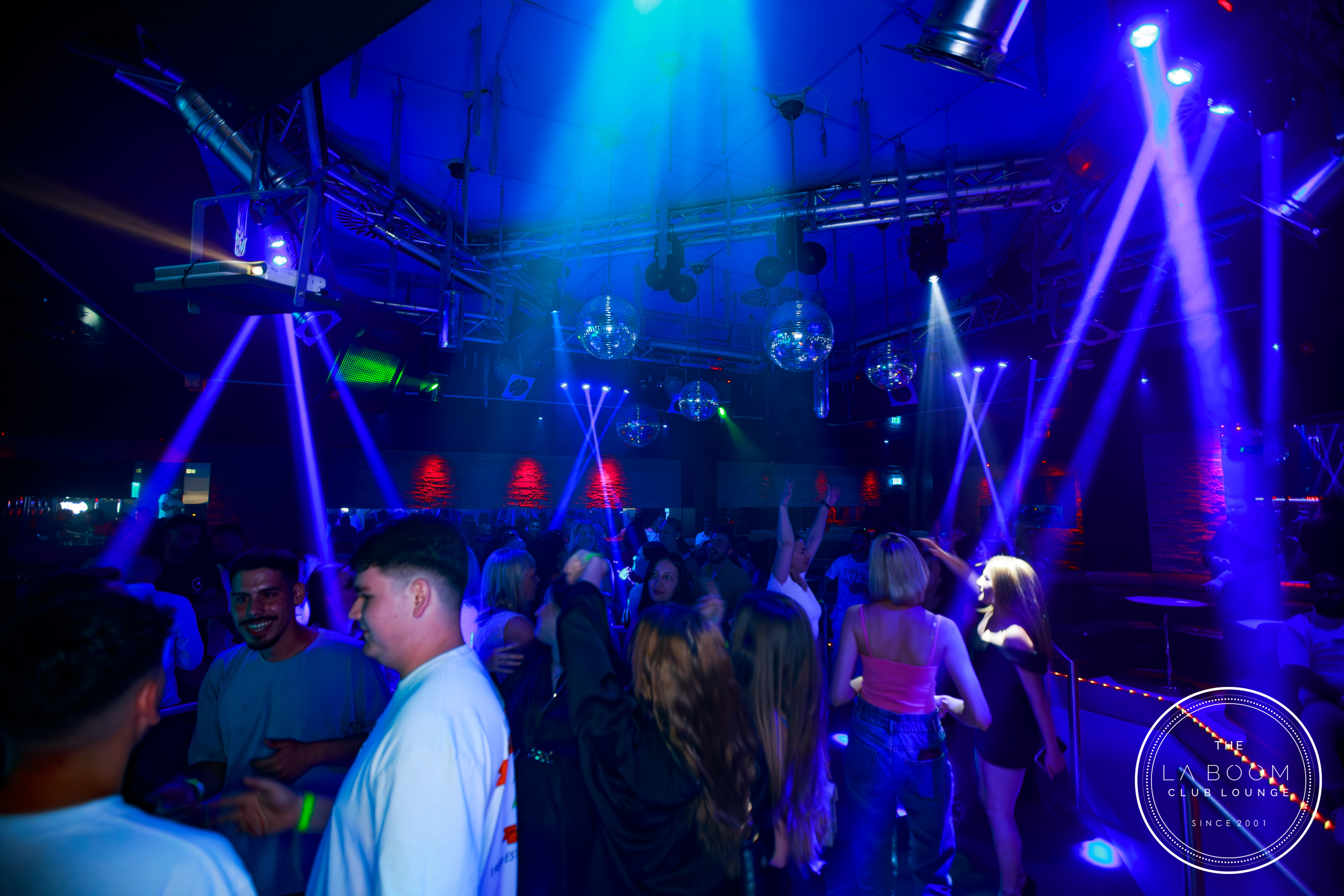 IMG 8965 Verbessert RR