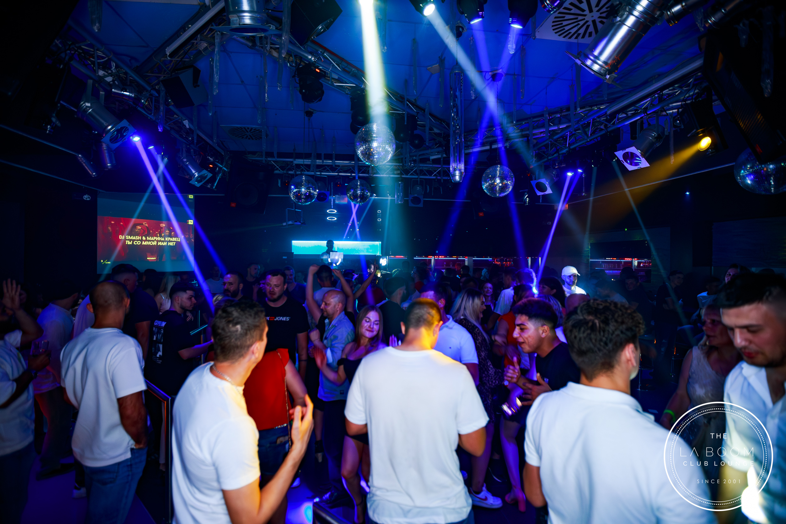 IMG 9015 Verbessert RR