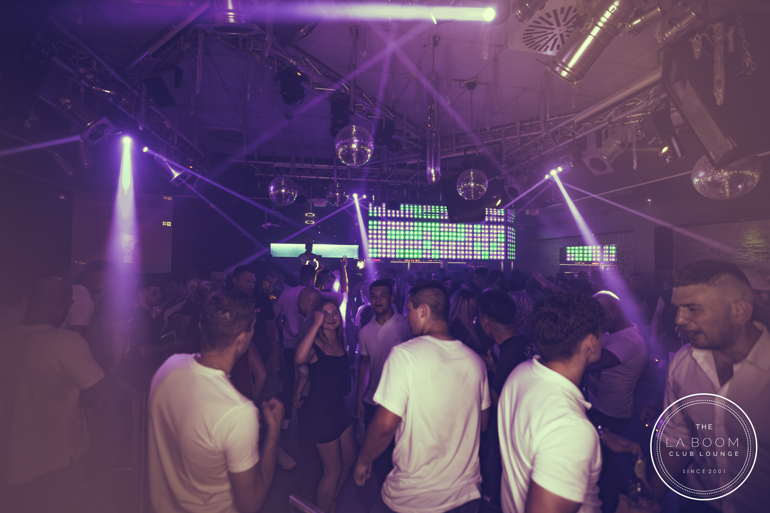 IMG 9017 Verbessert RR