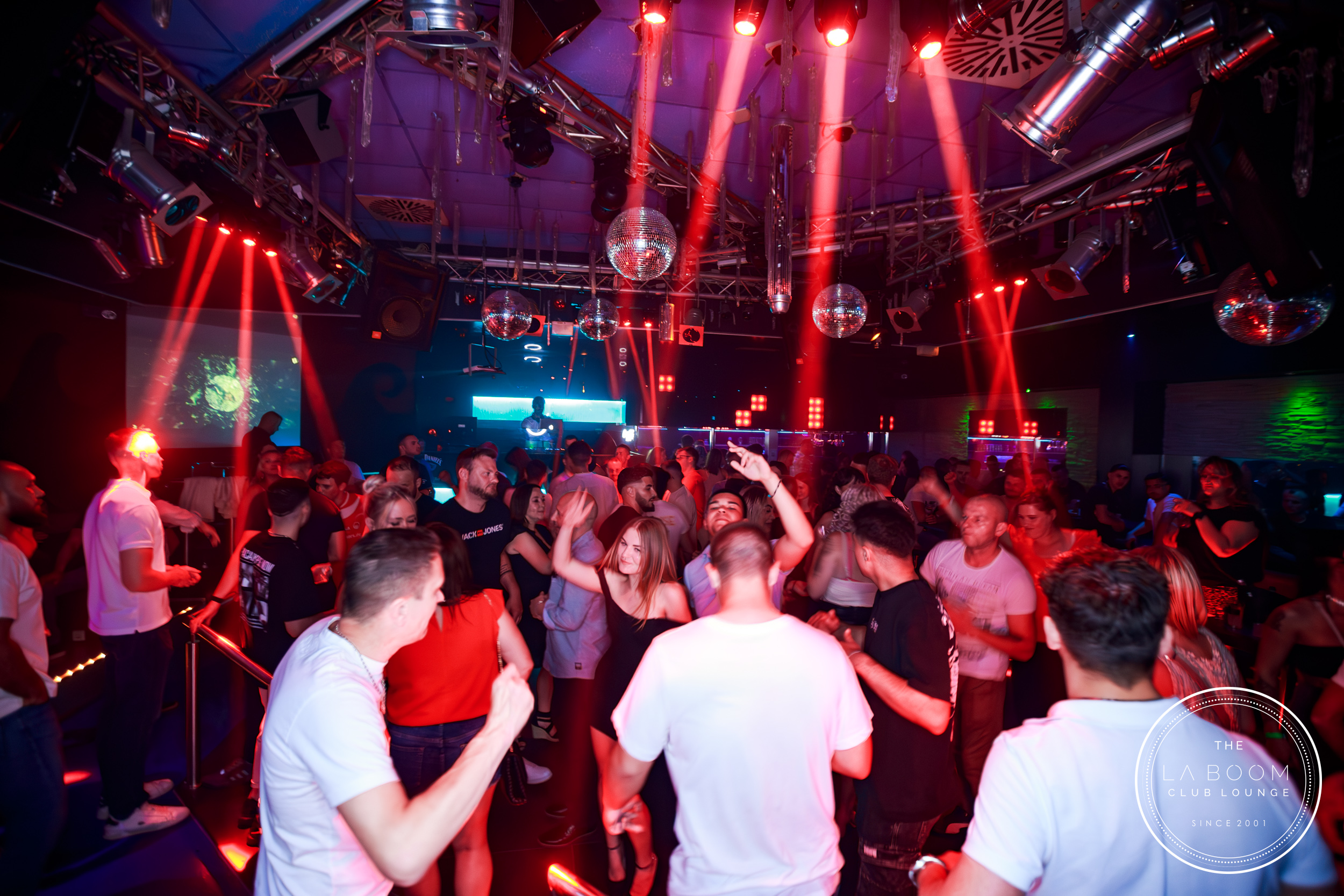 IMG 9020 Verbessert RR