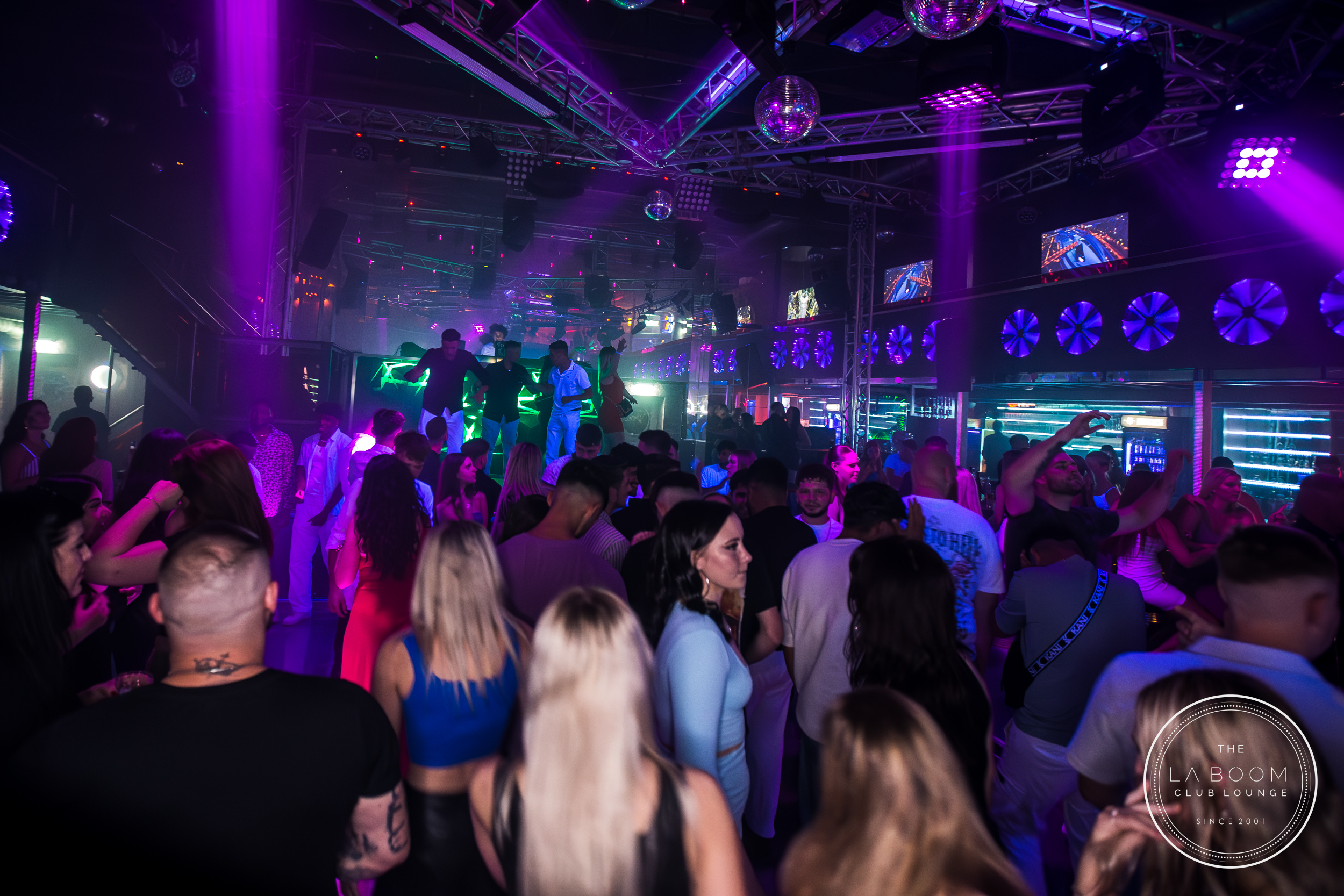 IMG 9173 Verbessert RR