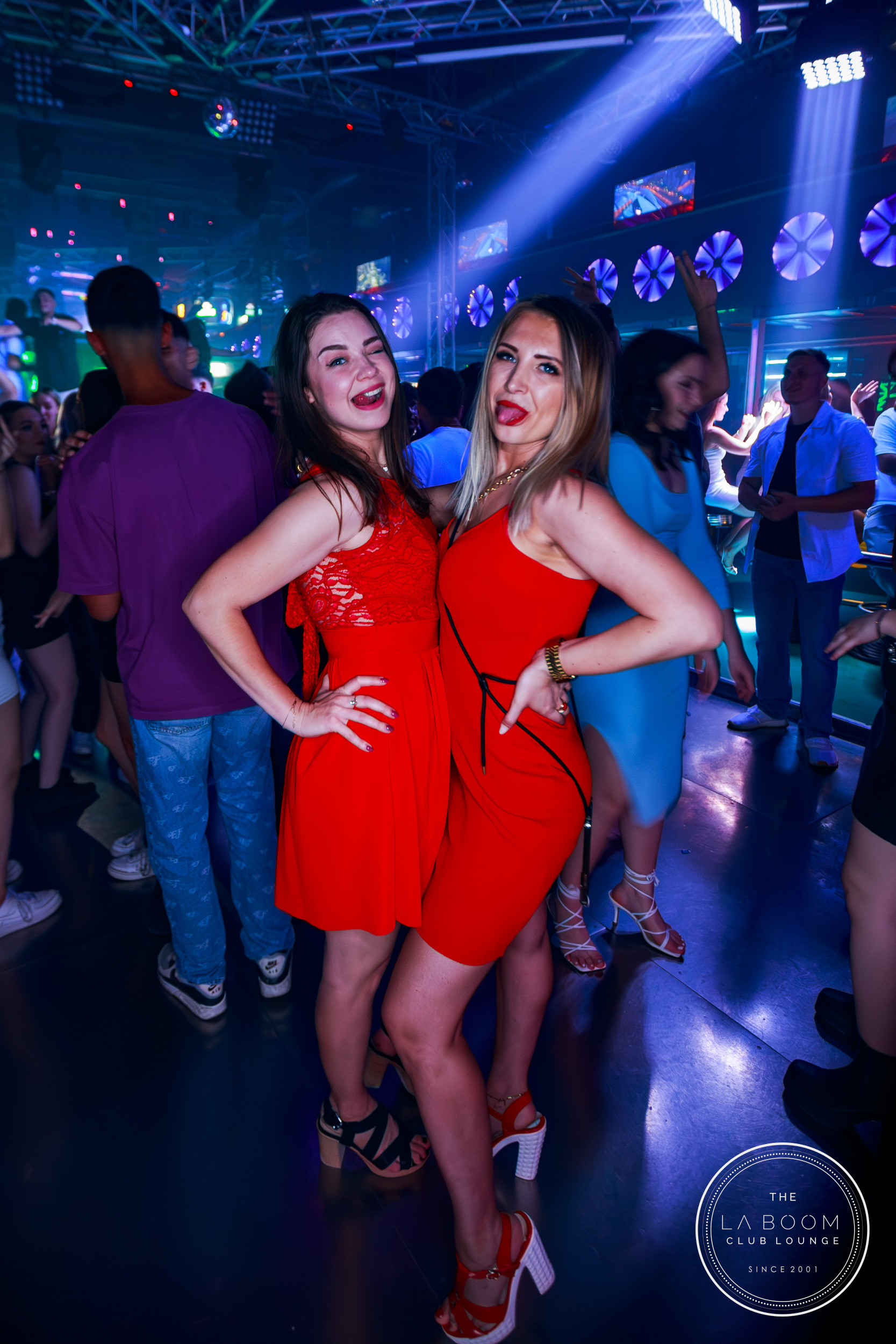 IMG 9181 Verbessert RR