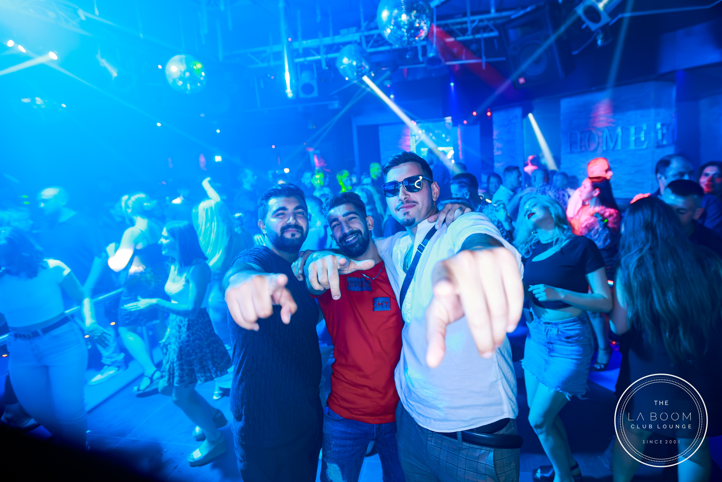 IMG 9187 Verbessert RR