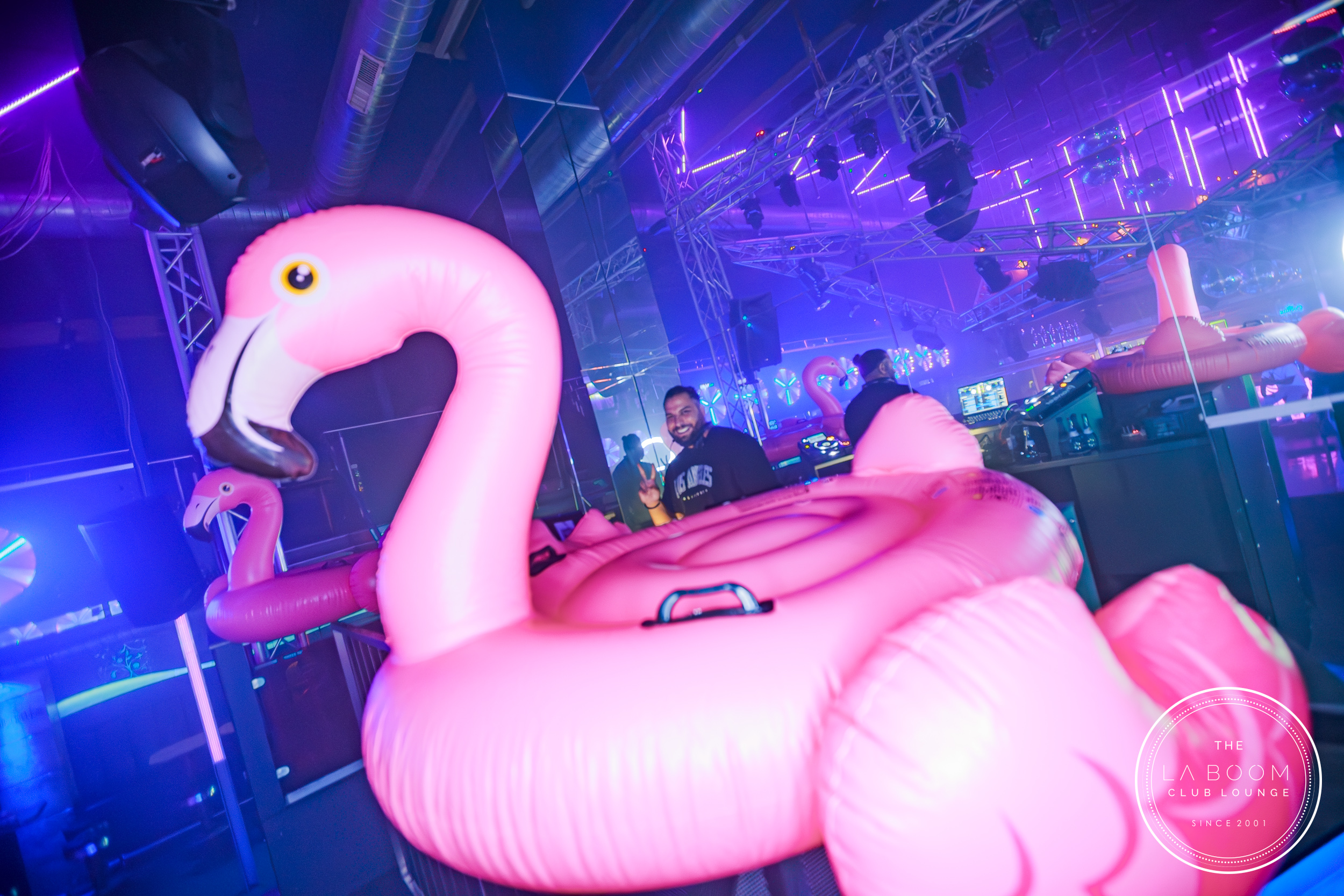 IMG 9454 Verbessert RR