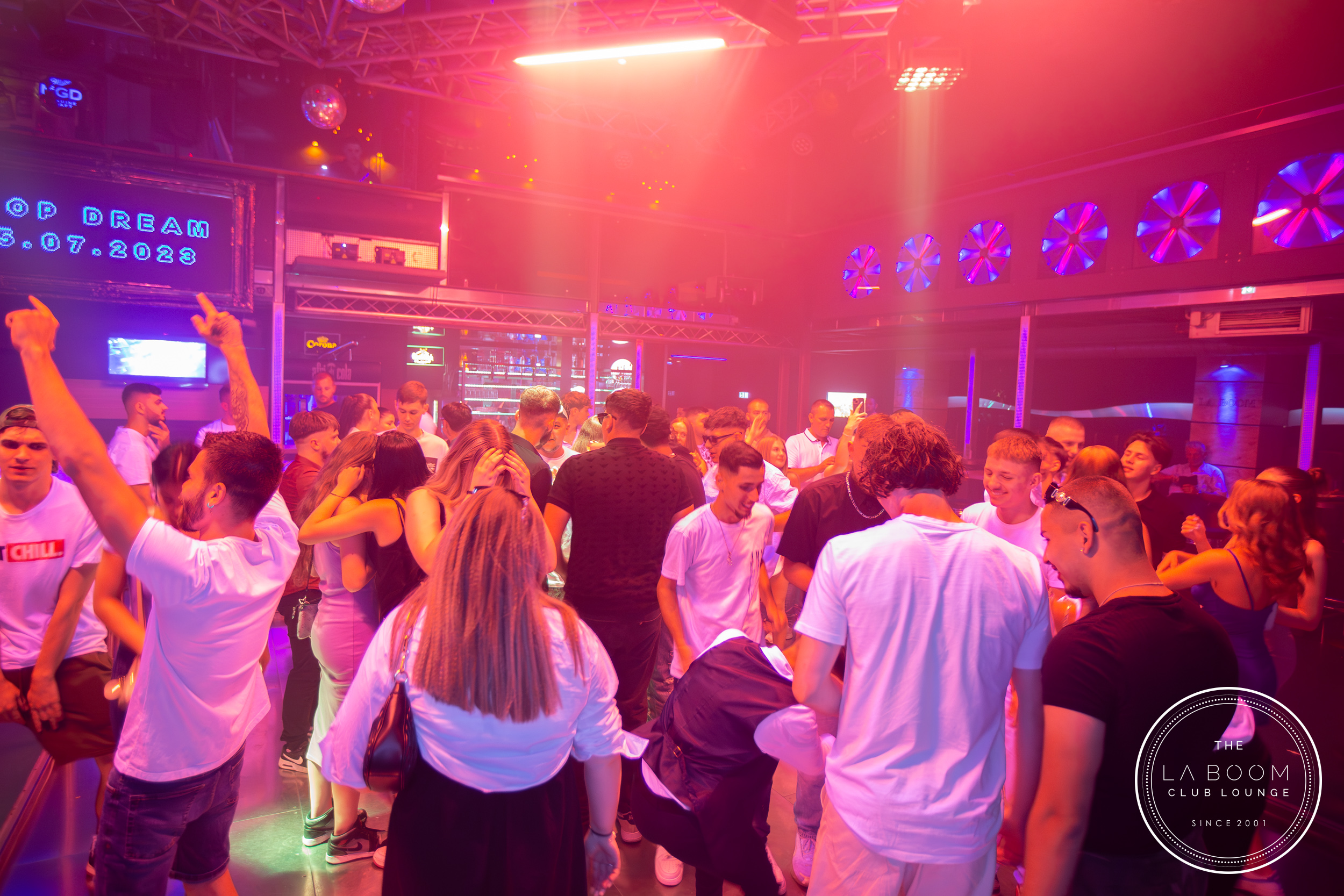 IMG 9507 Verbessert RR