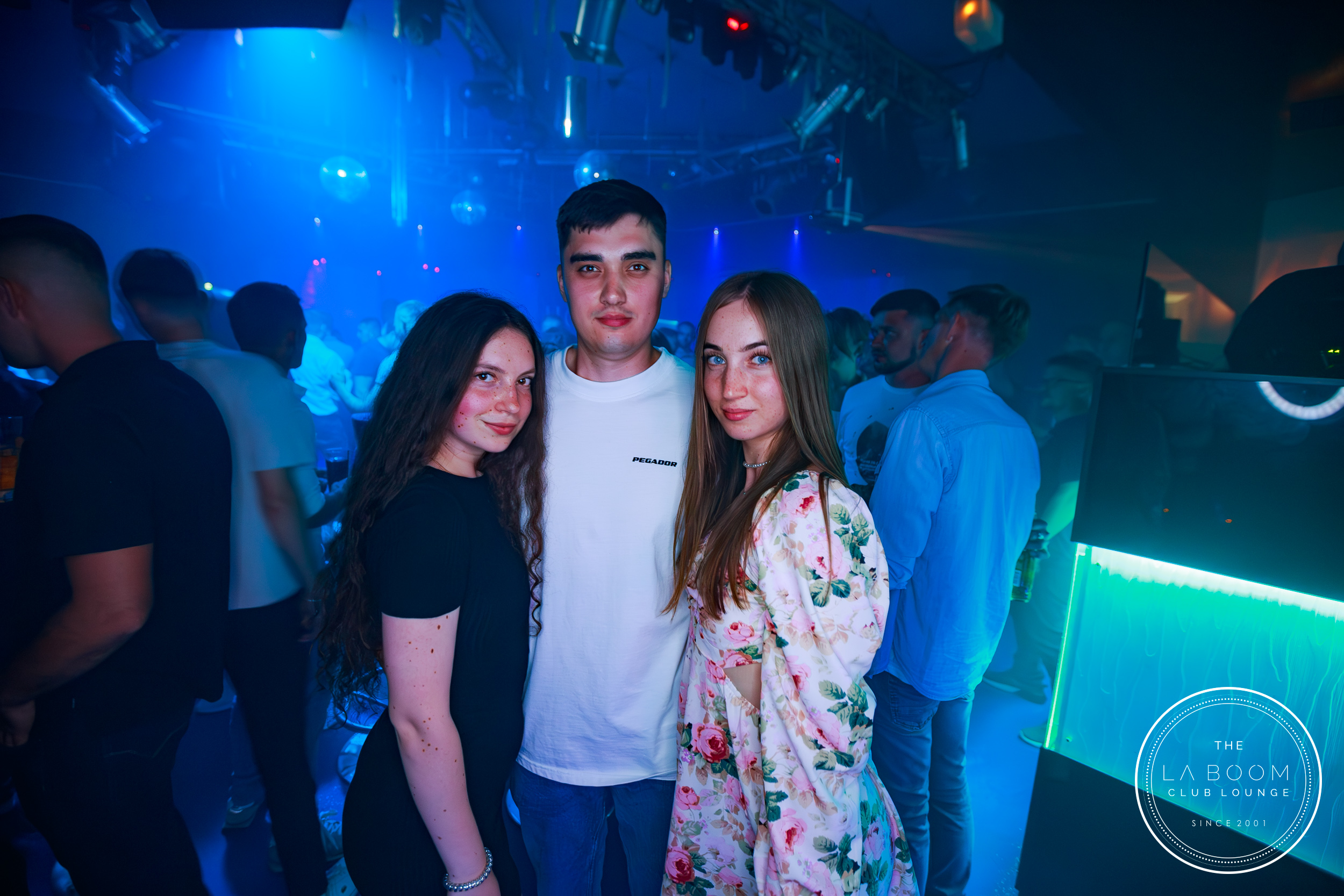 IMG 9521 Verbessert RR