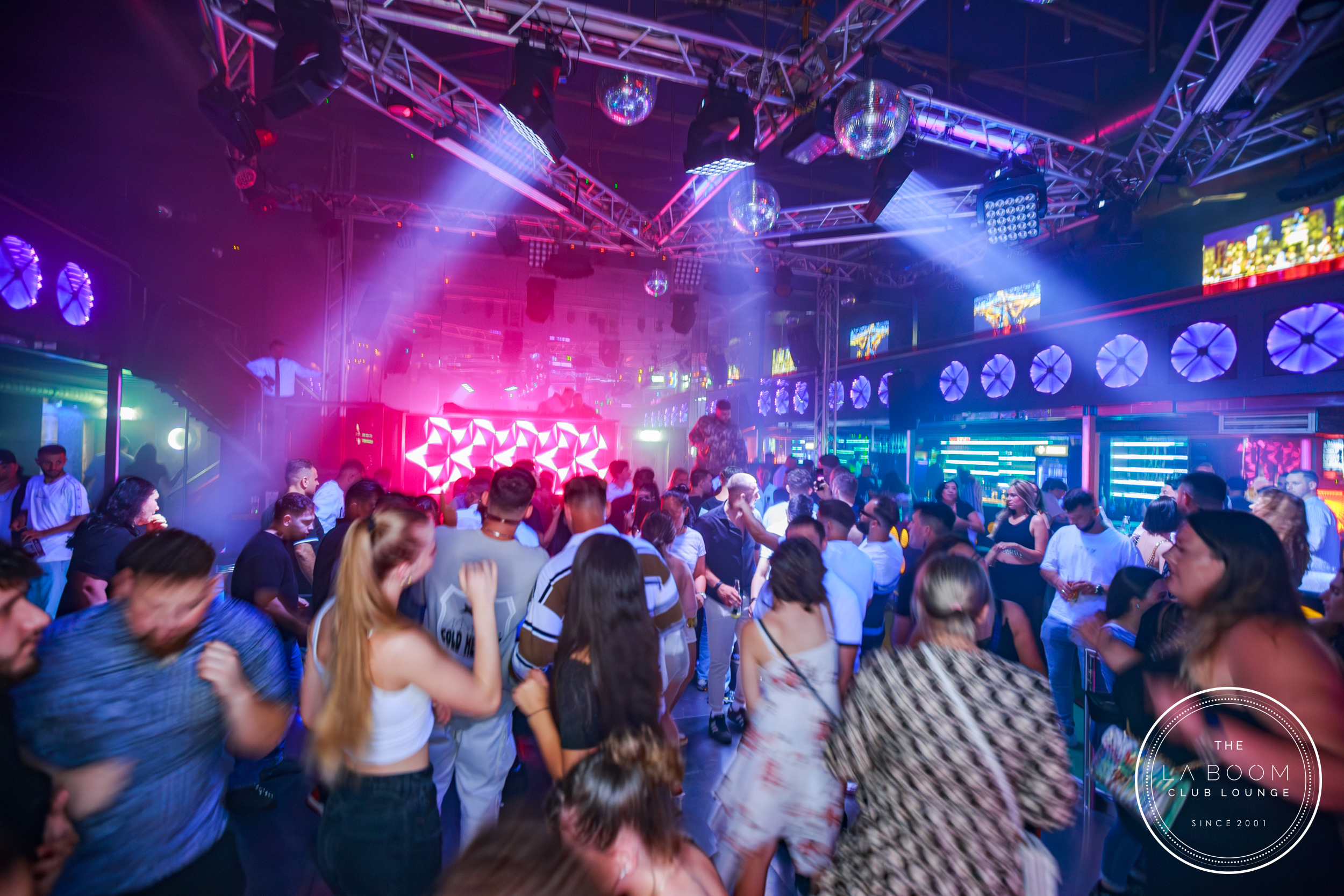 IMG 9675 Verbessert RR