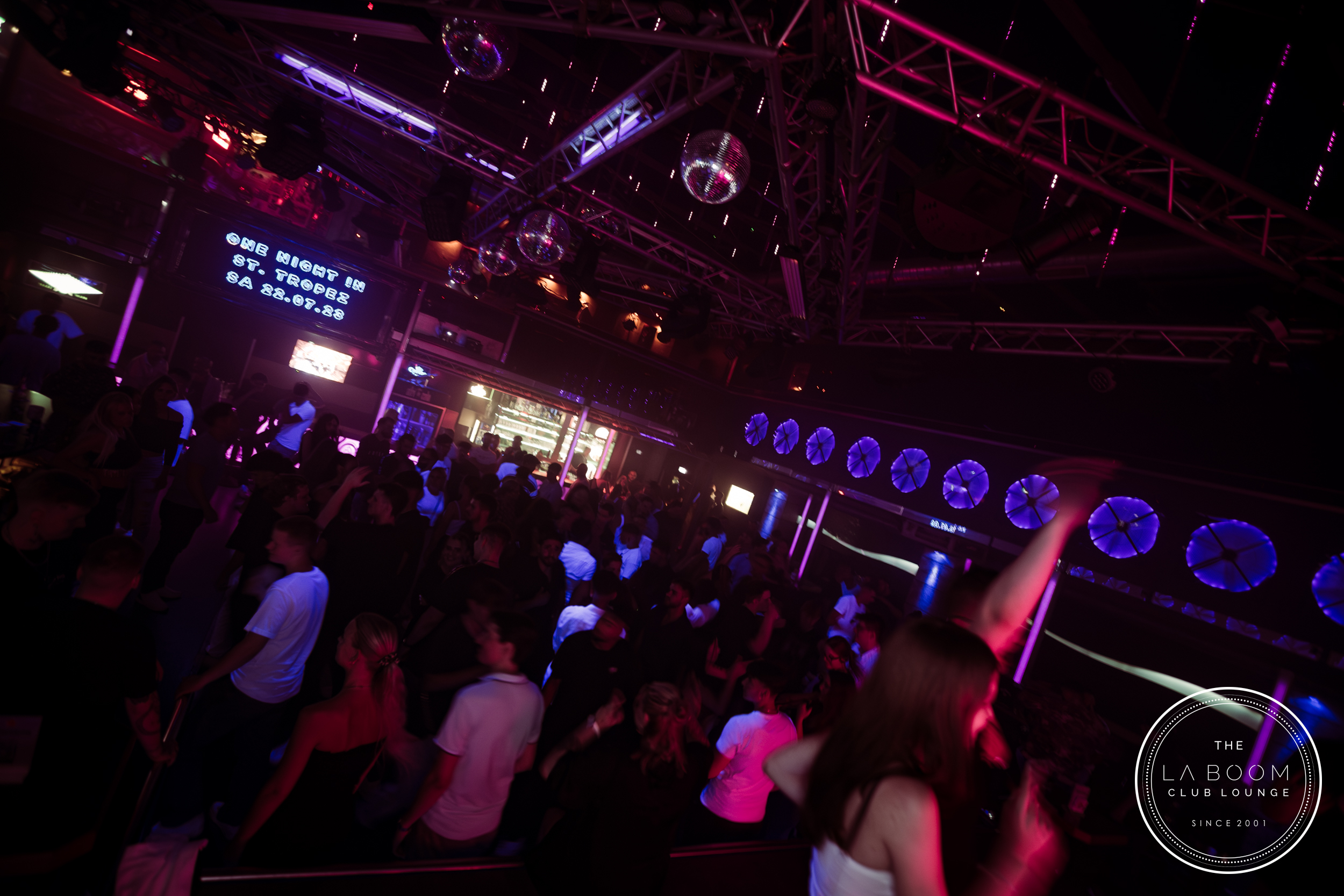 IMG 9692 Verbessert RR