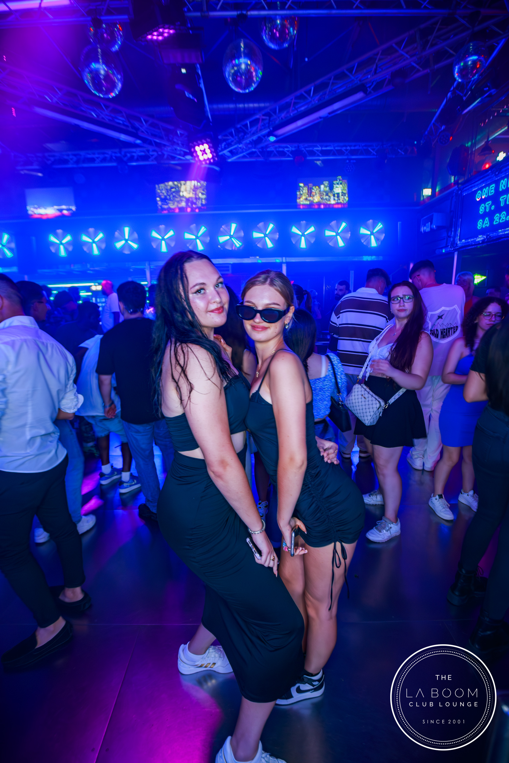 IMG 9697 Verbessert RR