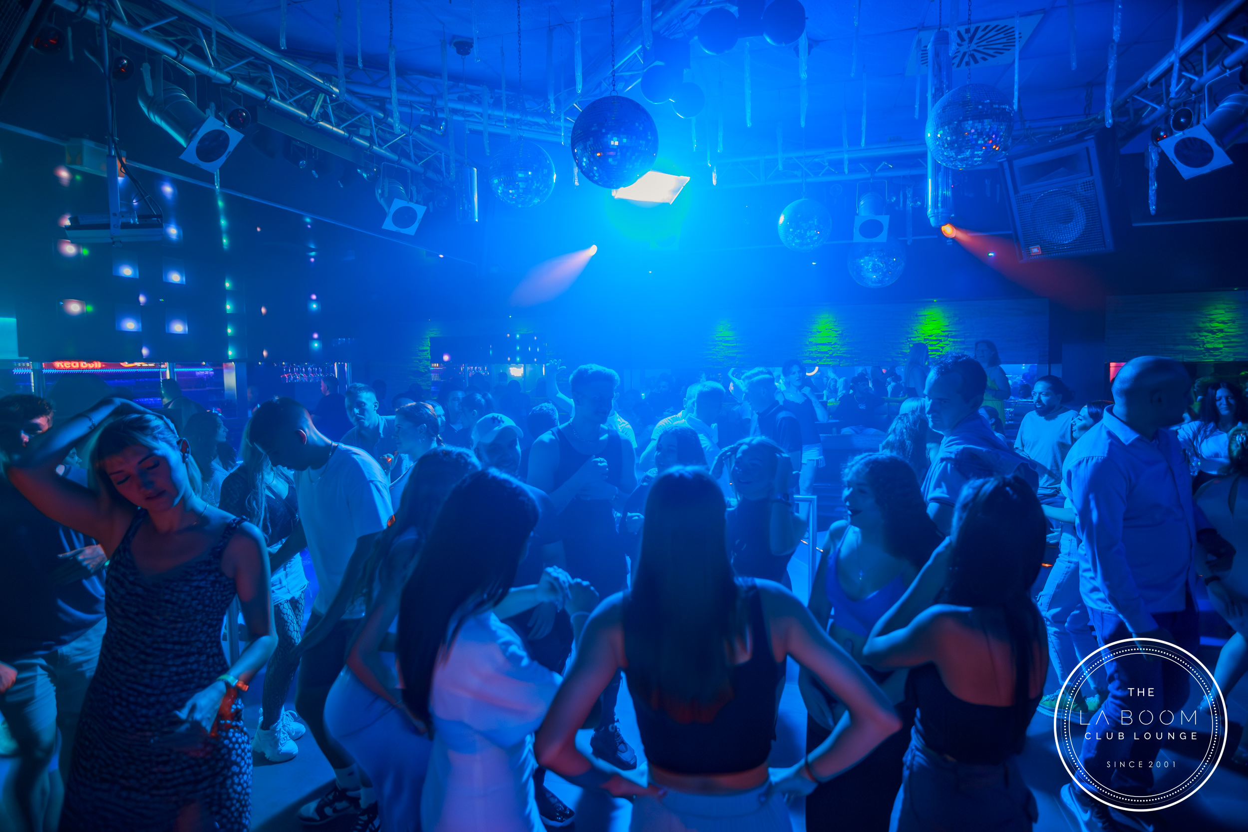 IMG 0253 Verbessert RR