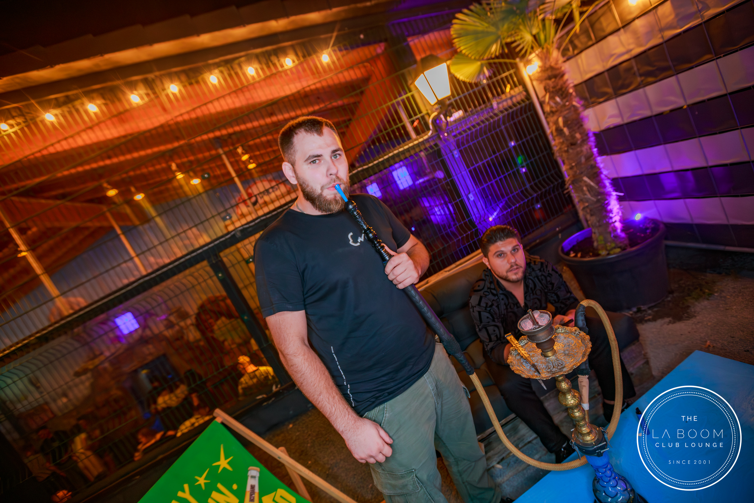 IMG 0952 Verbessert RR