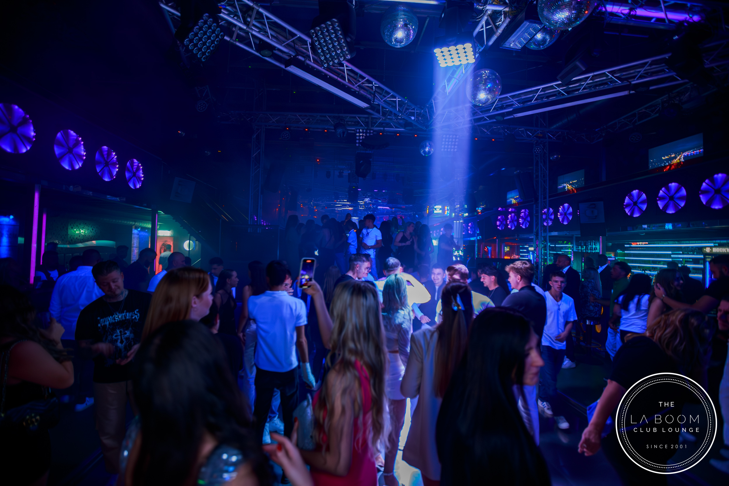 IMG 1296 Verbessert RR