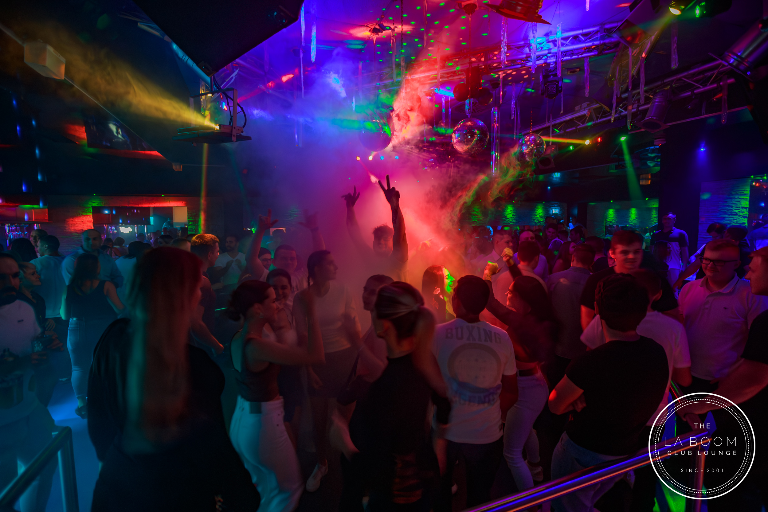 IMG 1543 Verbessert RR