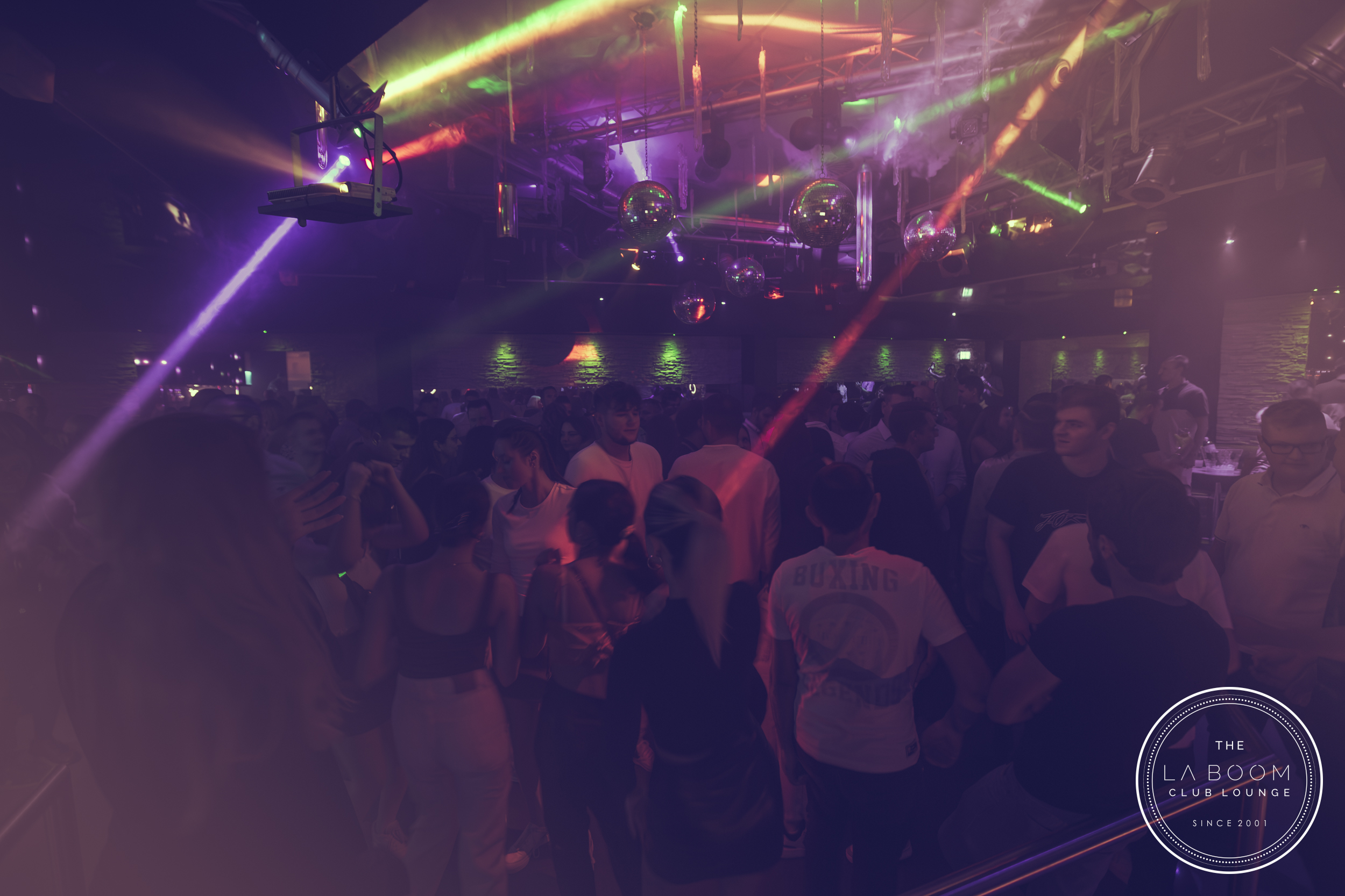 IMG 1546 Verbessert RR