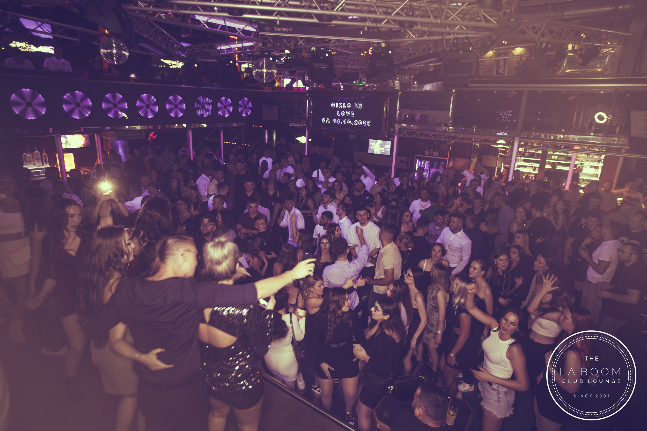 IMG 1599 Verbessert RR