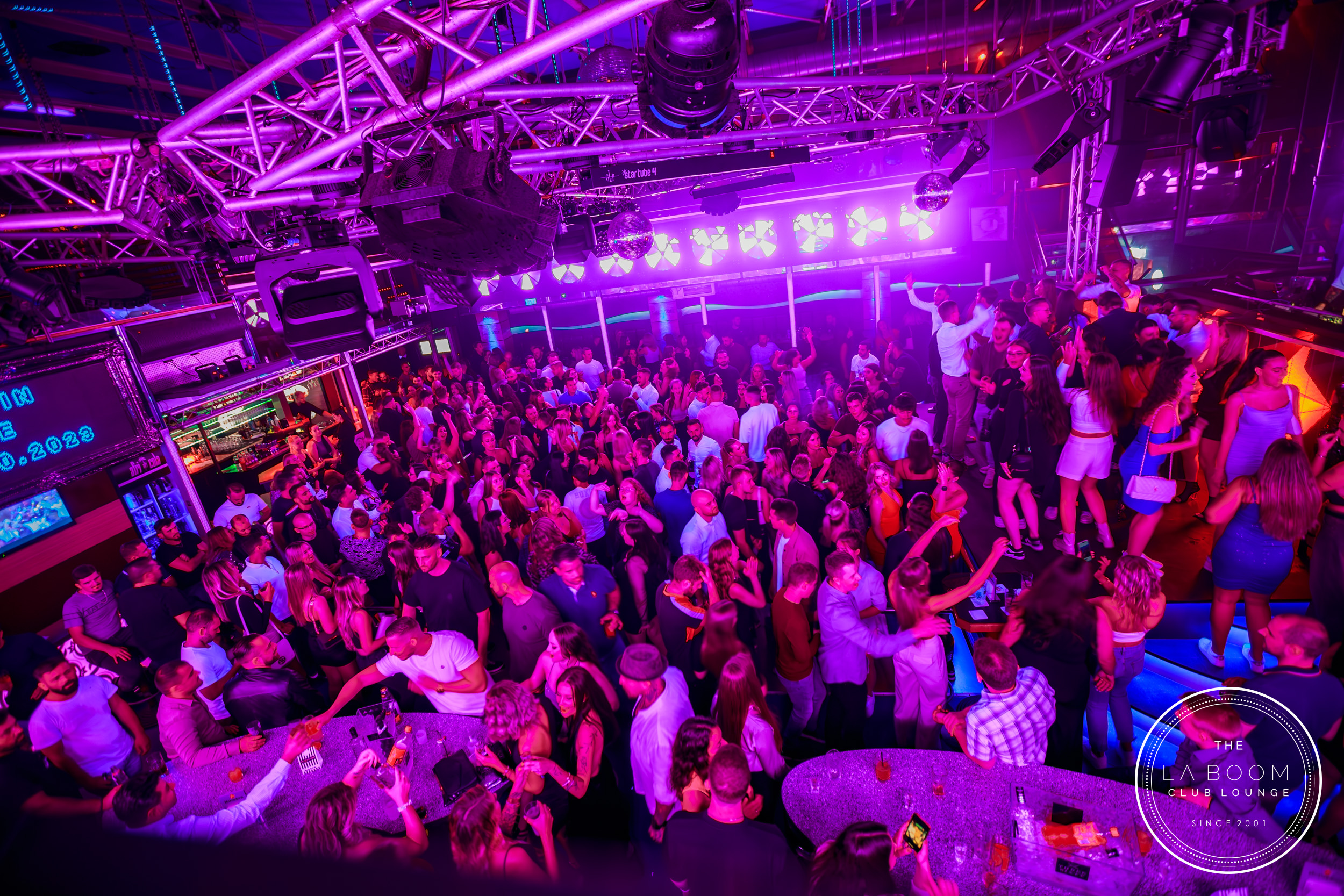 IMG 1618 Verbessert RR