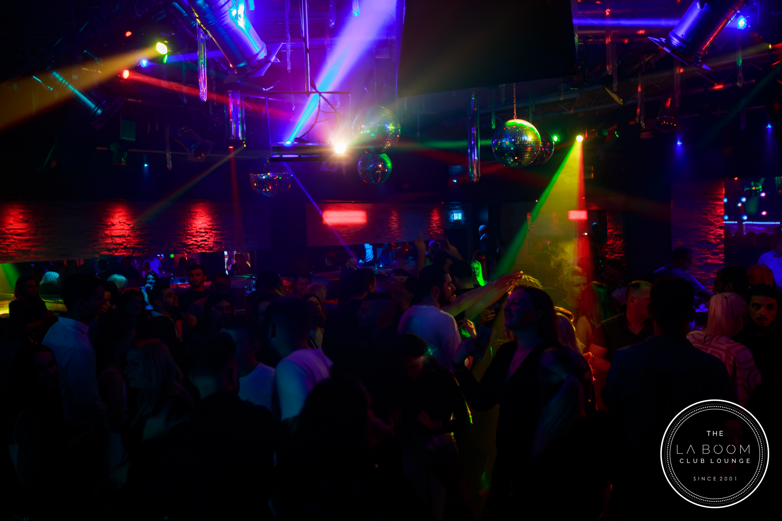 IMG 1653 Verbessert RR