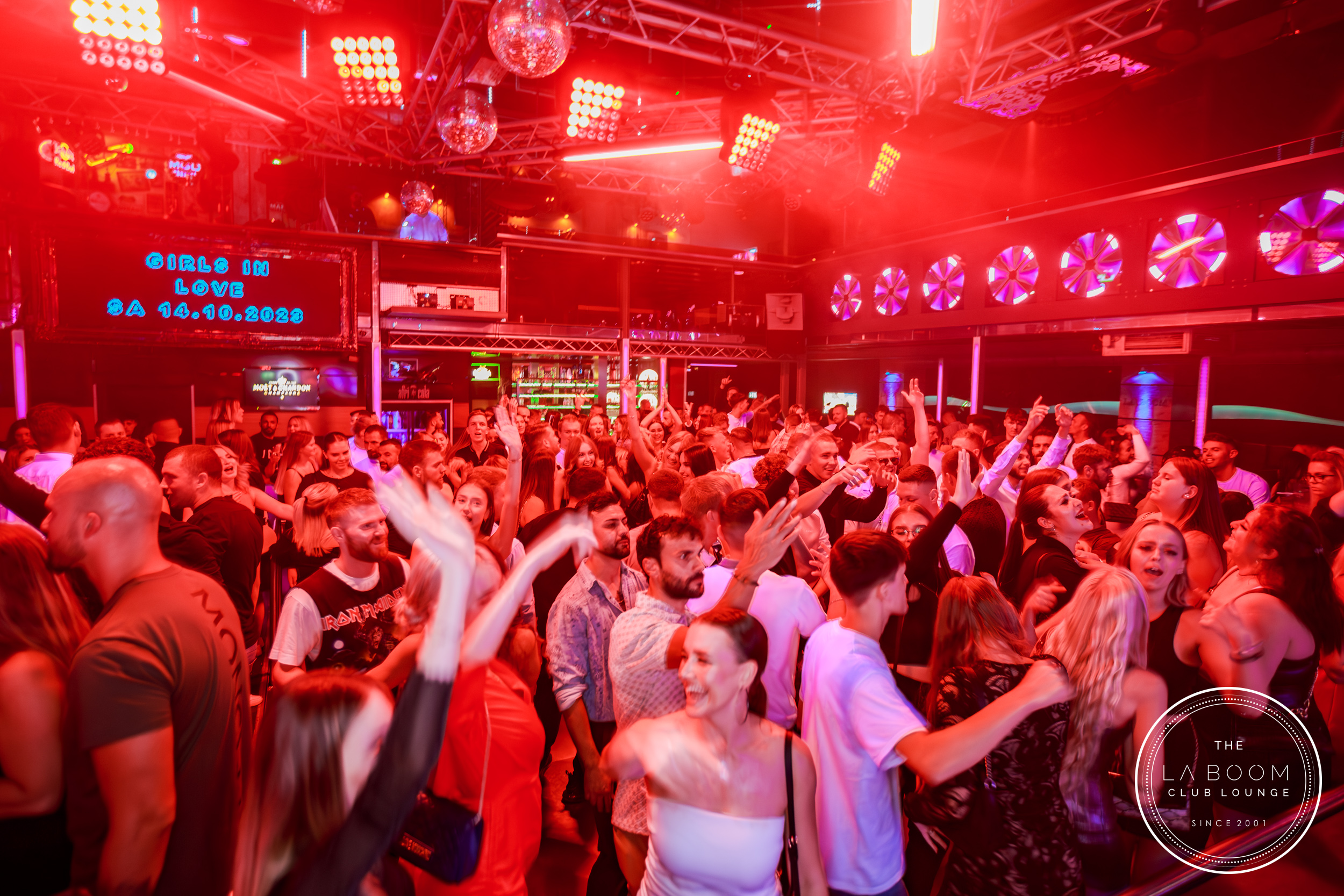 IMG 1662 Verbessert RR