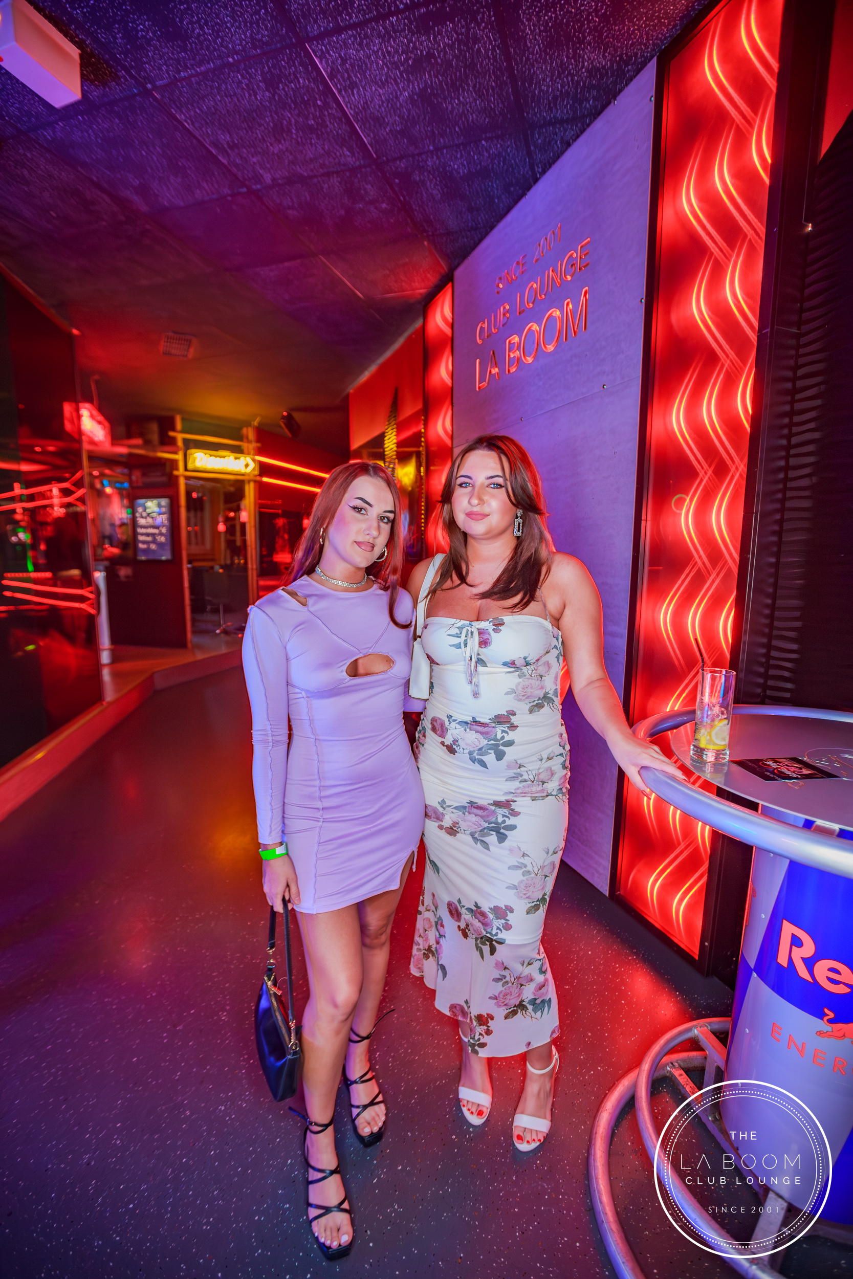 IMG 1698 Verbessert RR