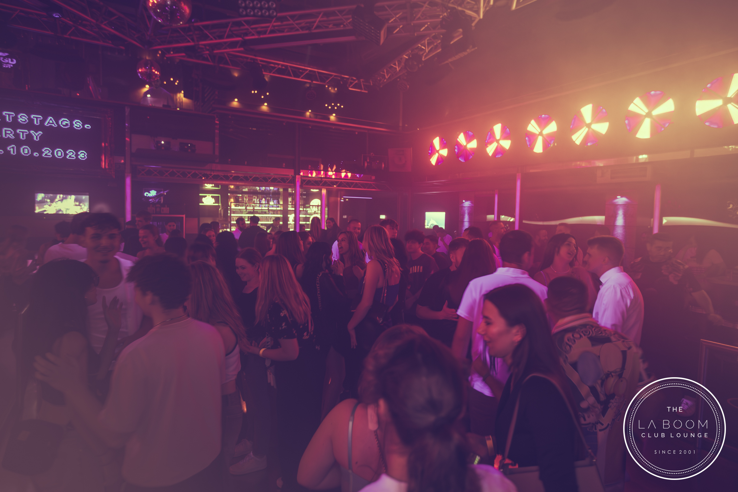 IMG 1752 Verbessert RR