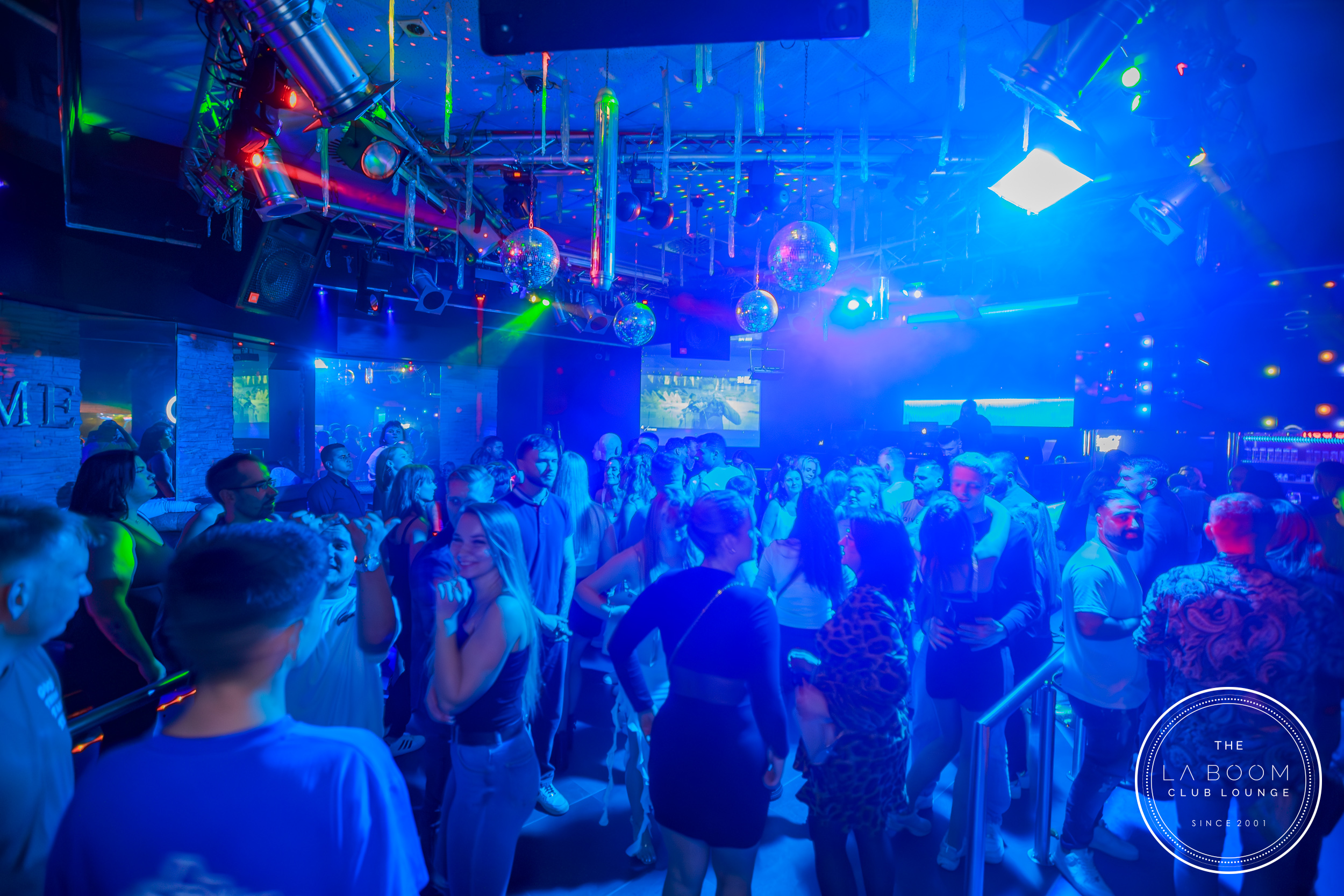 IMG 2245 Verbessert RR