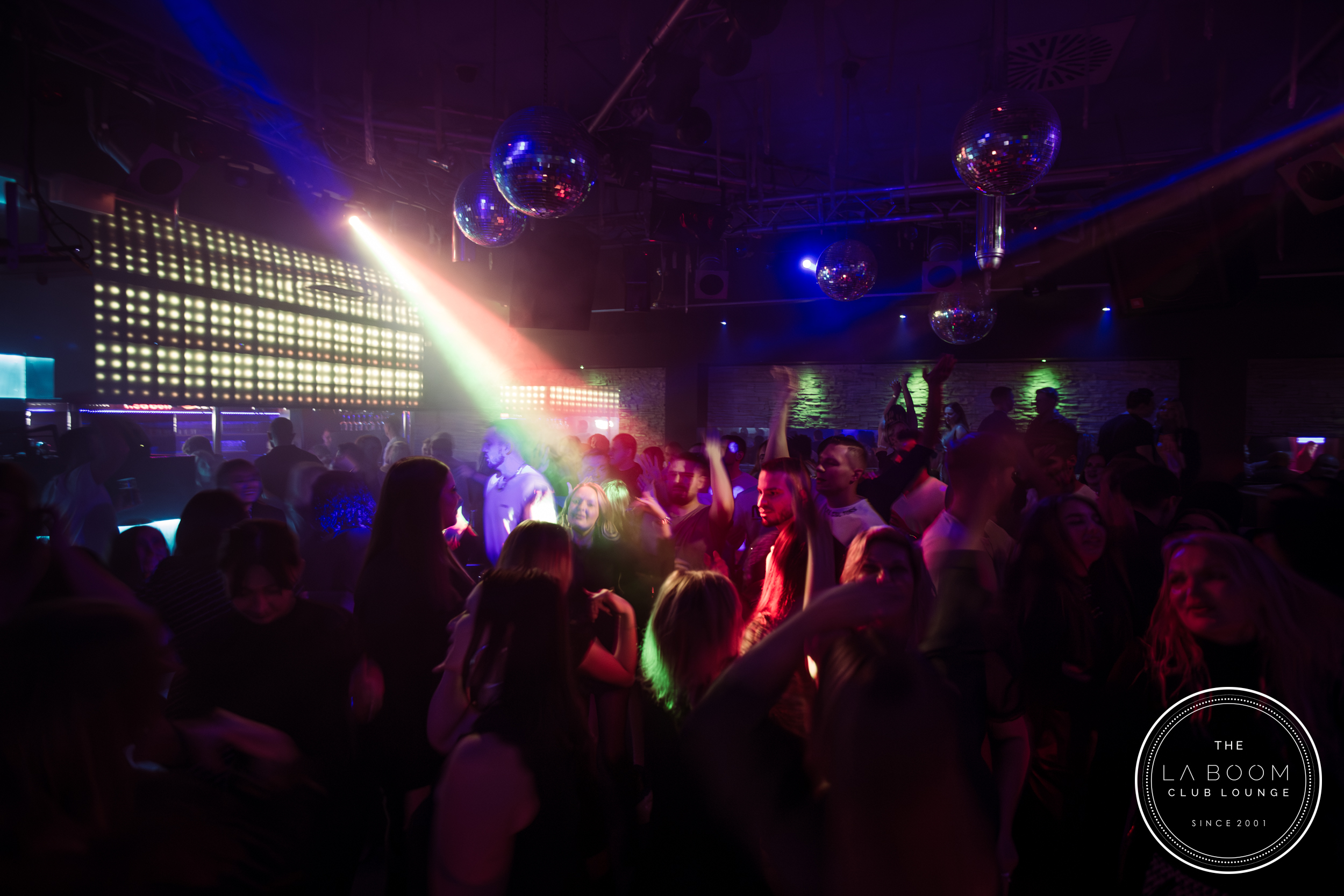 IMG 2451 Verbessert RR