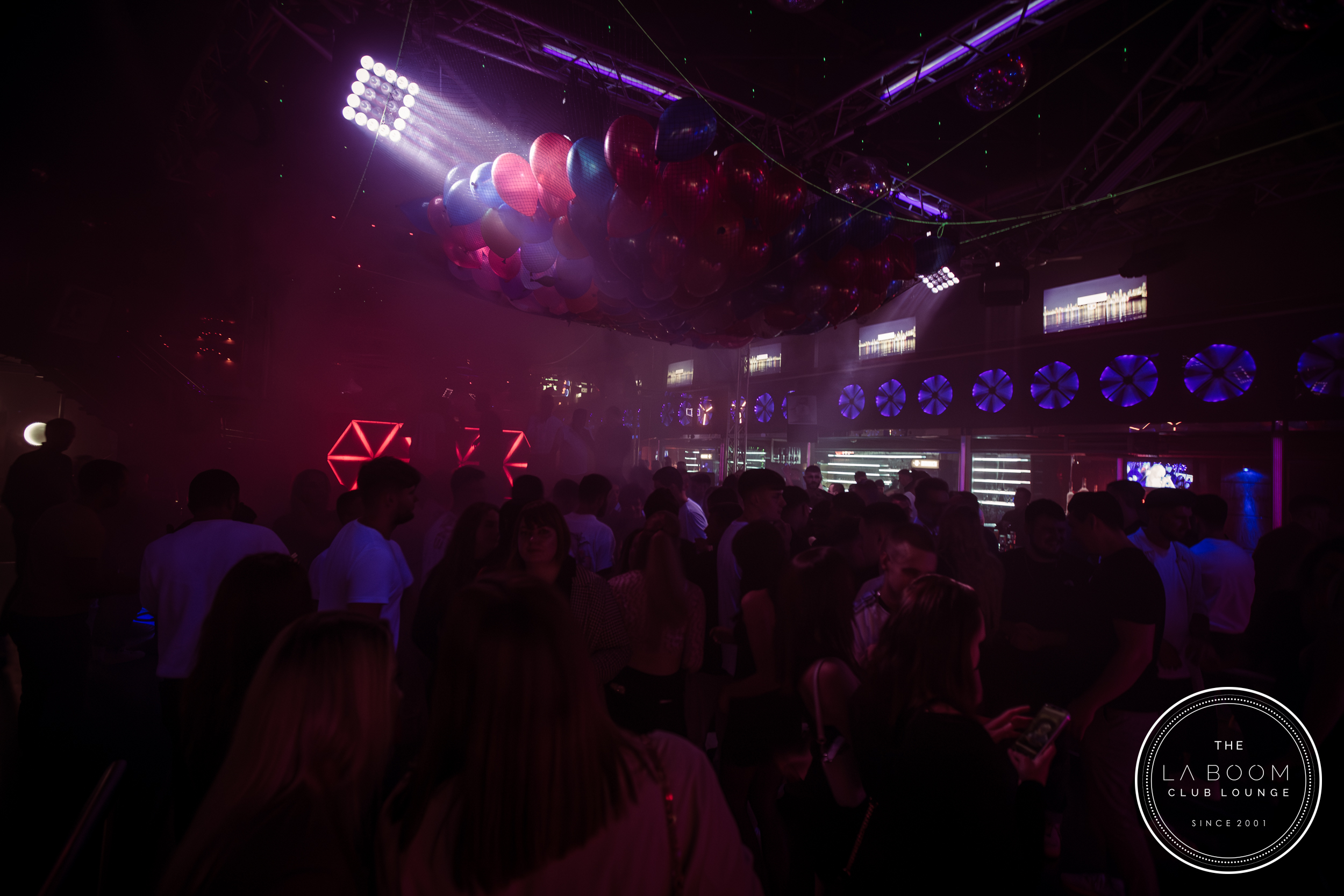 IMG 2505 Verbessert RR