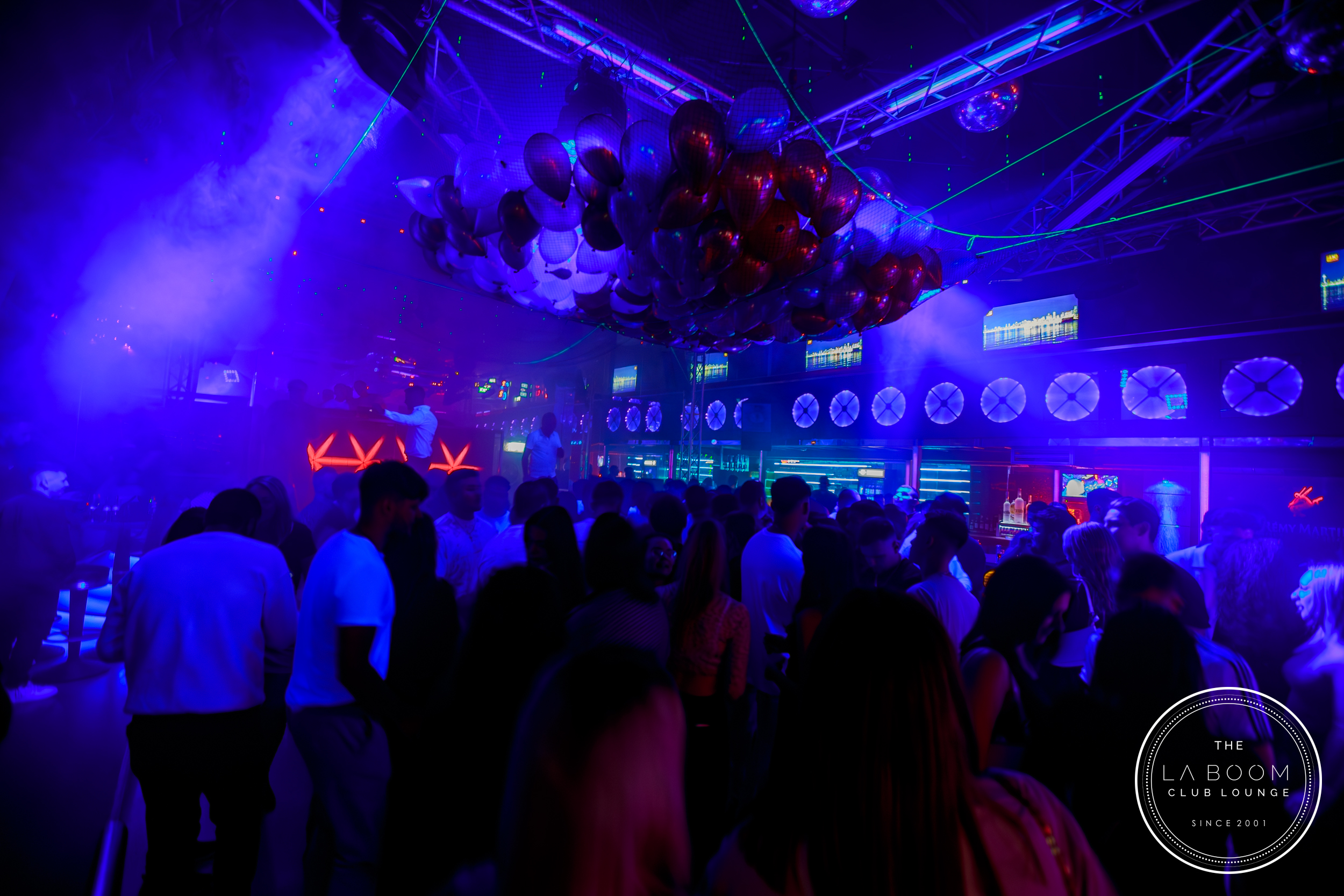 IMG 2508 Verbessert RR