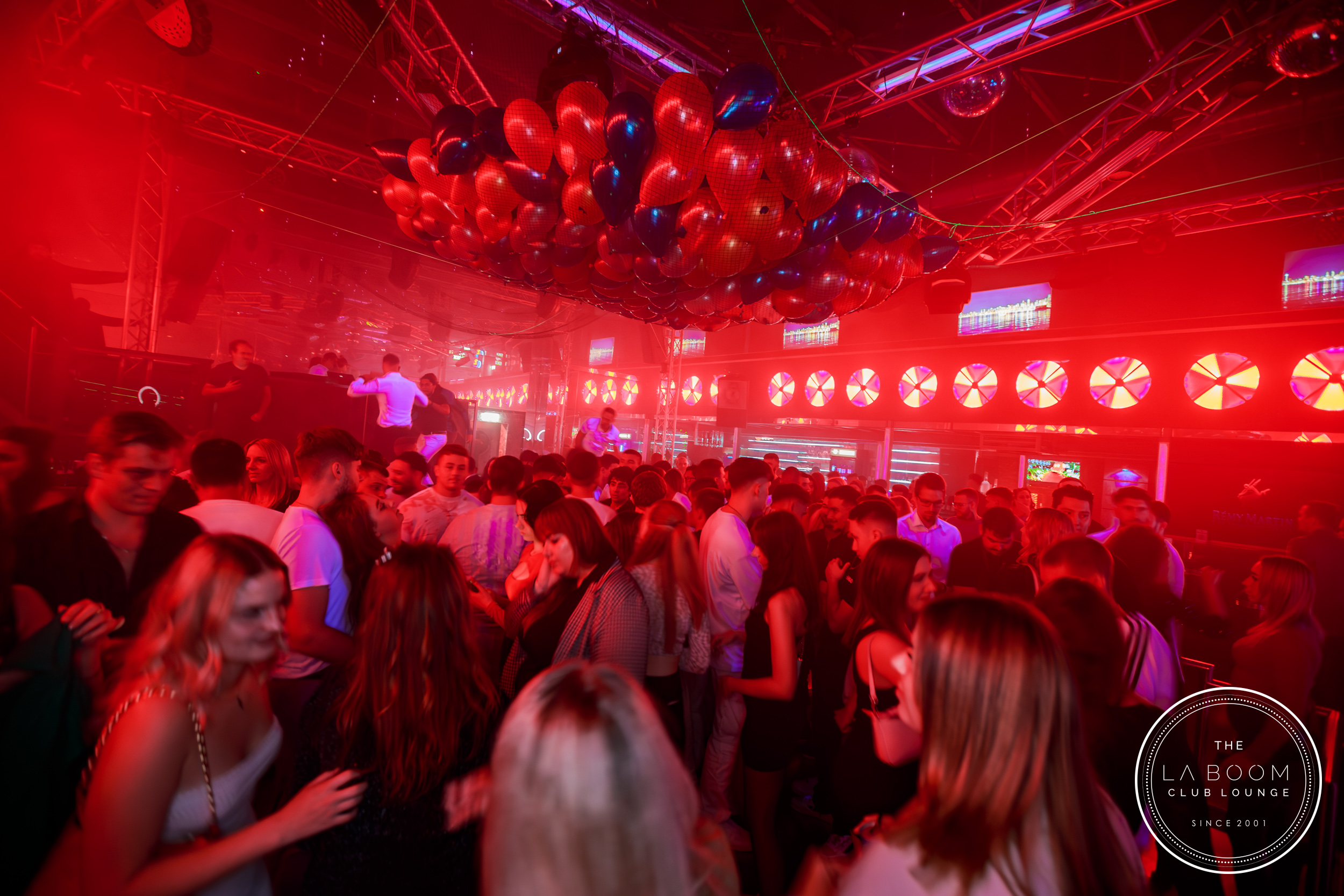 IMG 2513 Verbessert RR