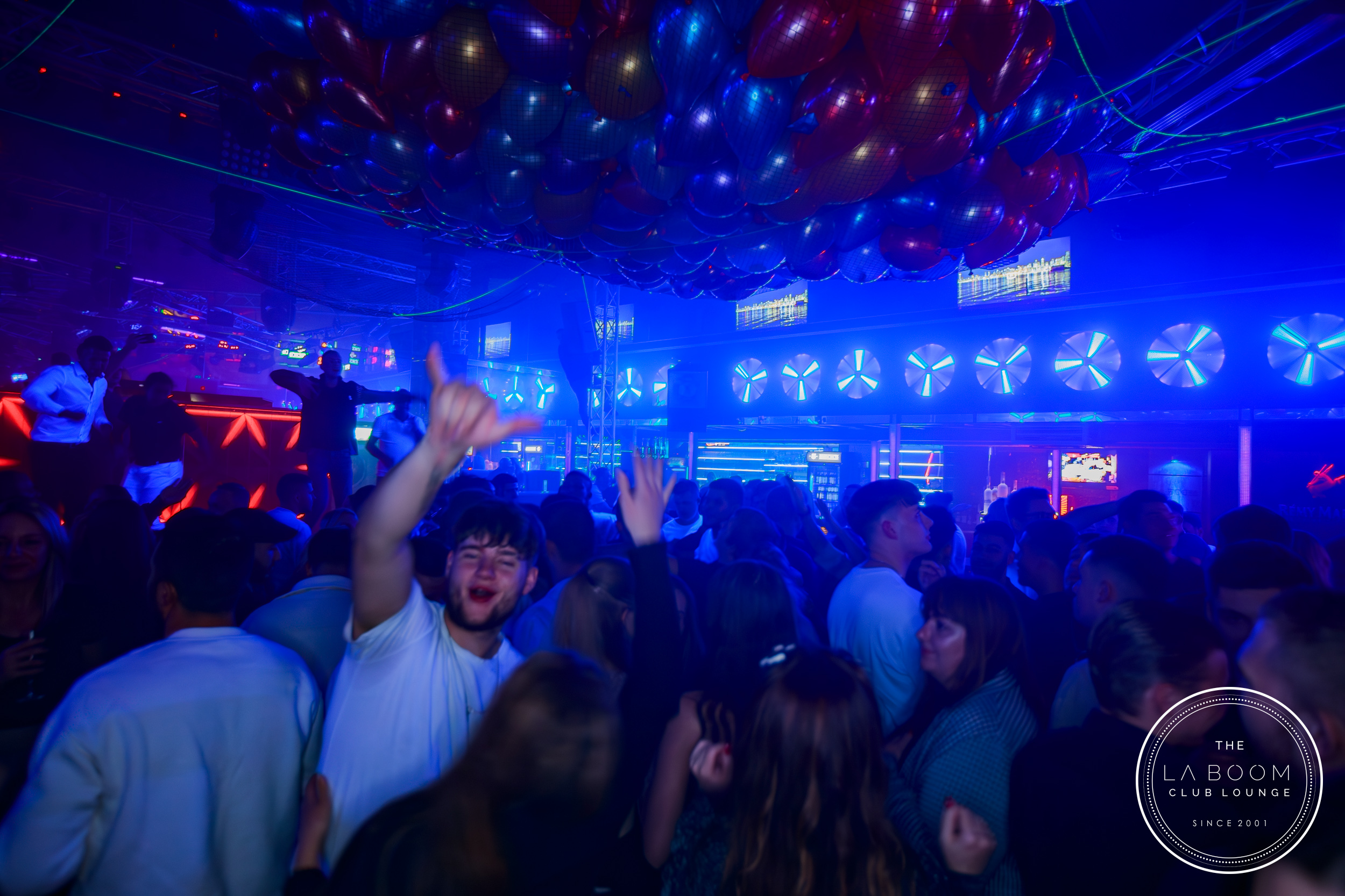 IMG 2526 Verbessert RR