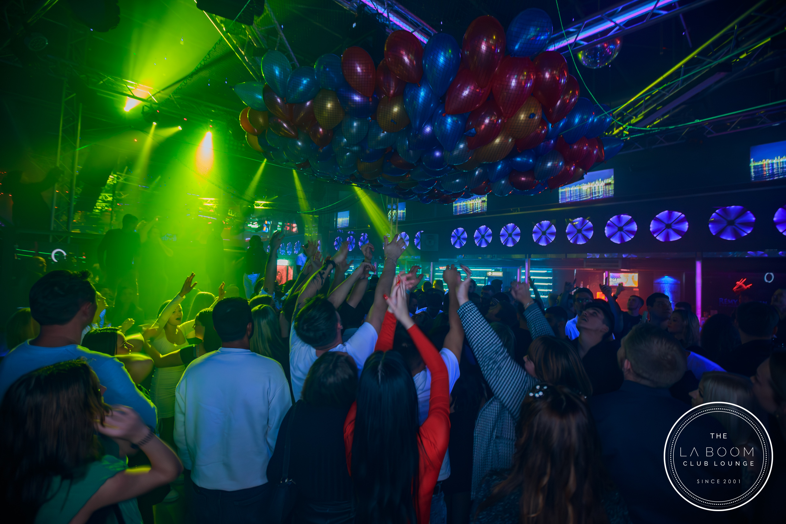 IMG 2531 Verbessert RR