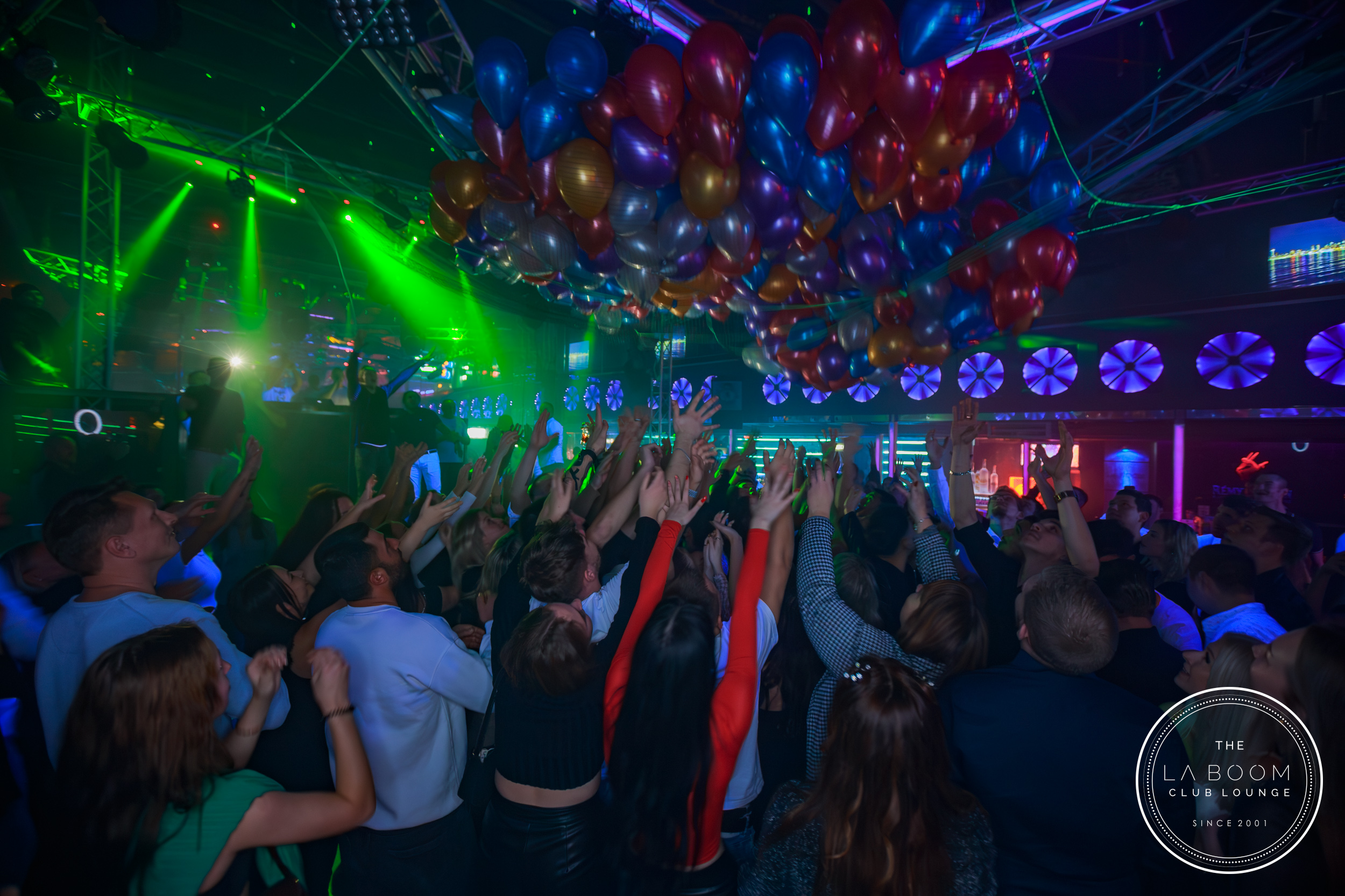 IMG 2532 Verbessert RR