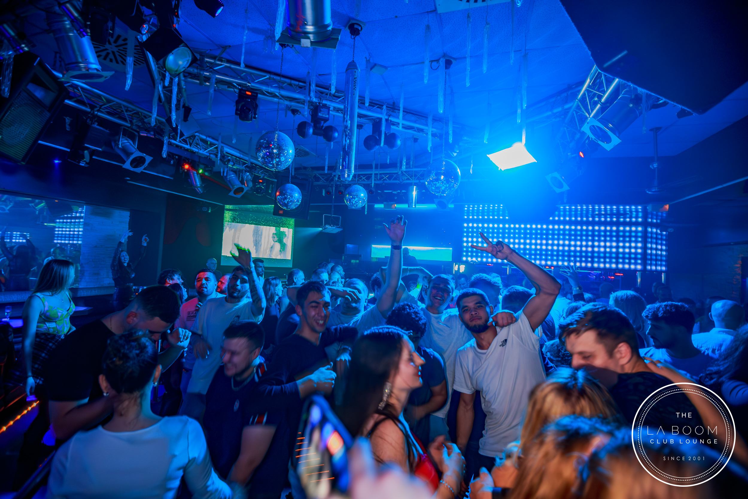 IMG 2565 Verbessert RR