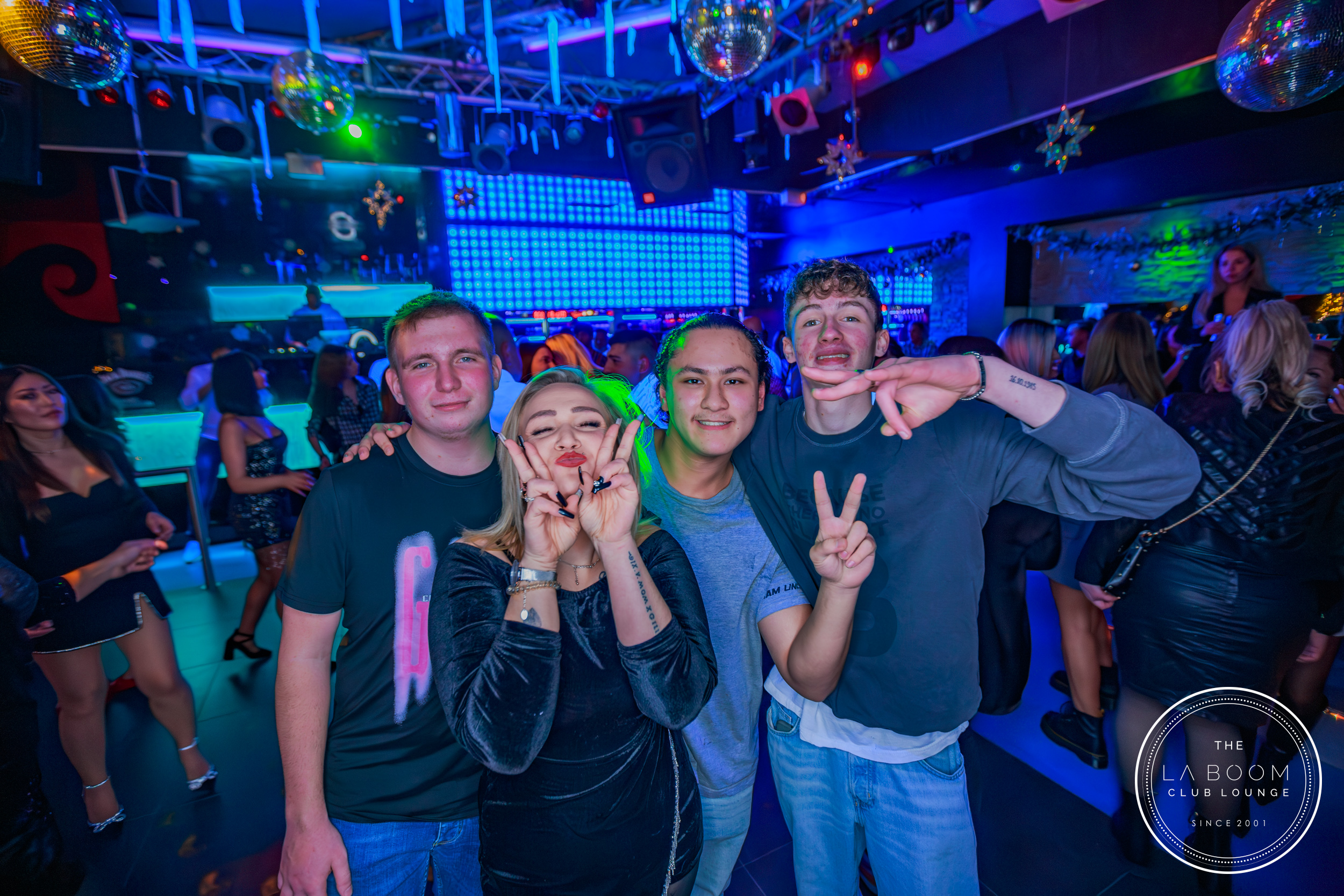 IMG 2751 Verbessert RR