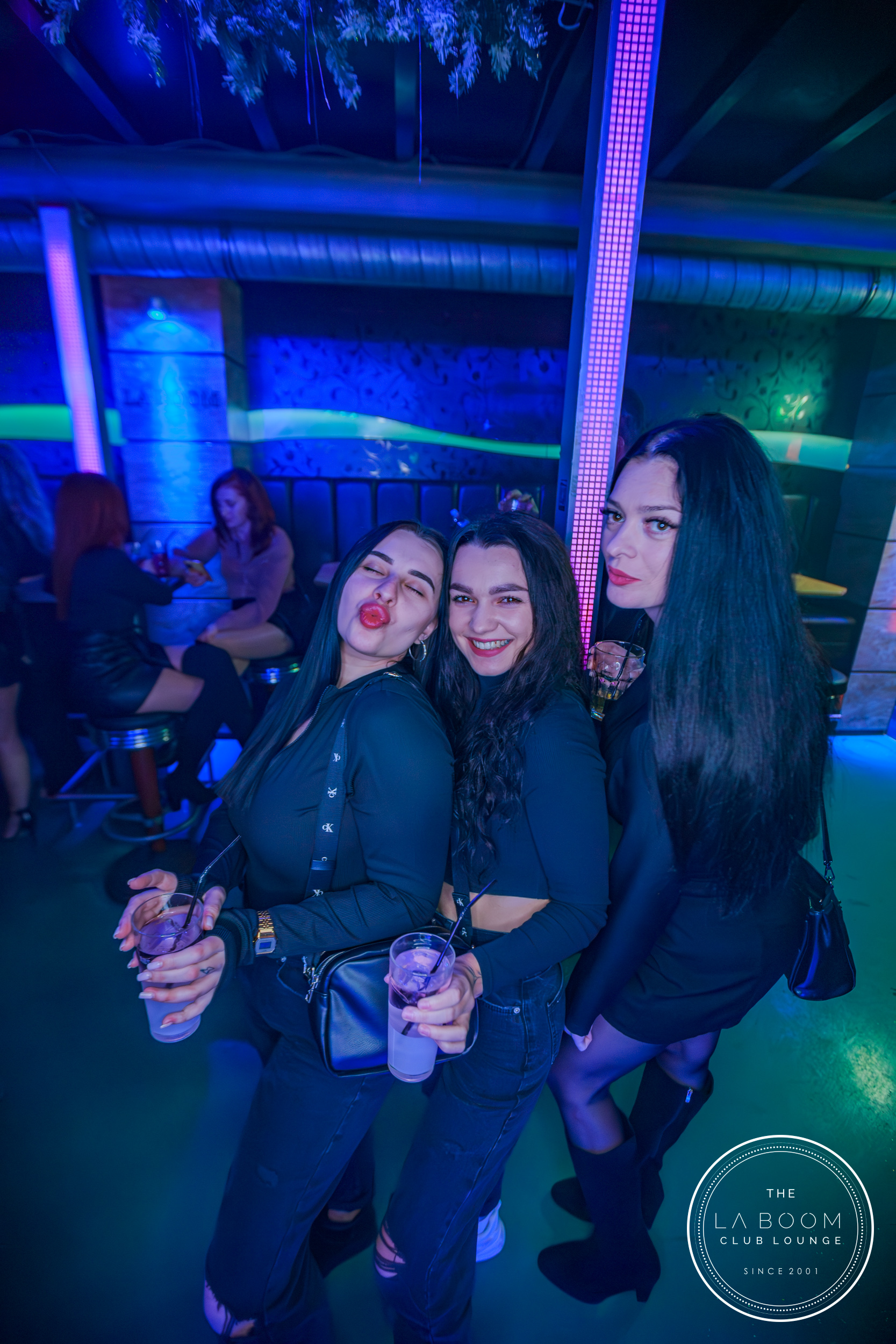 IMG 2887 Verbessert RR