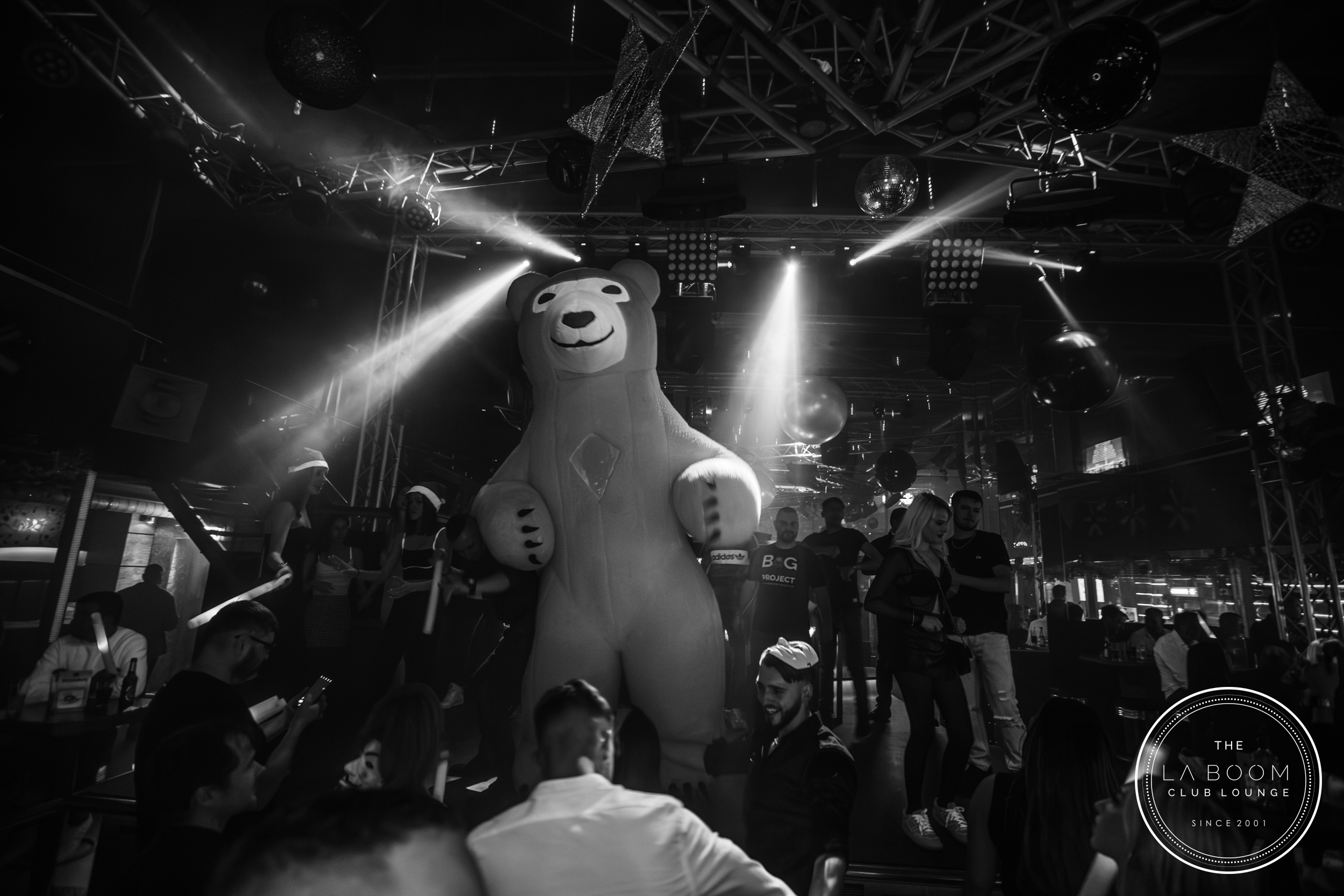 IMG 3378 Verbessert RR