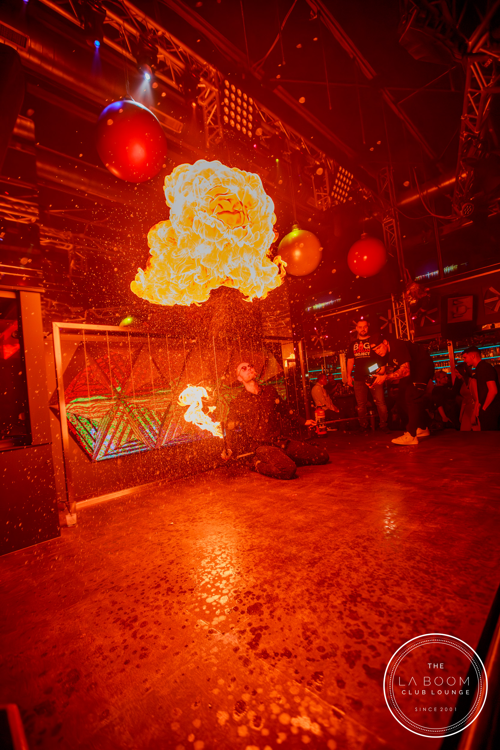 IMG 3499 Verbessert RR