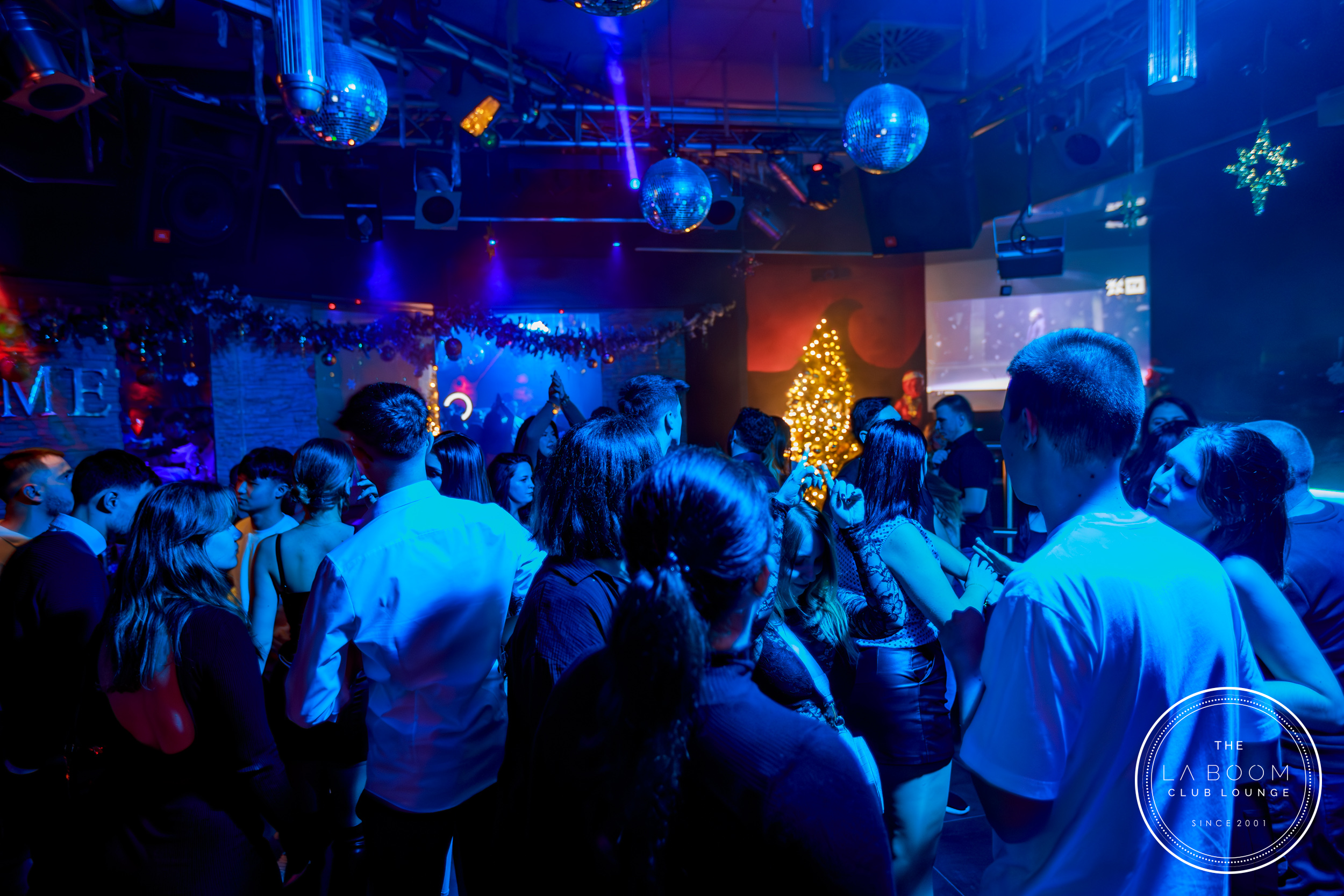 IMG 3581 Verbessert RR