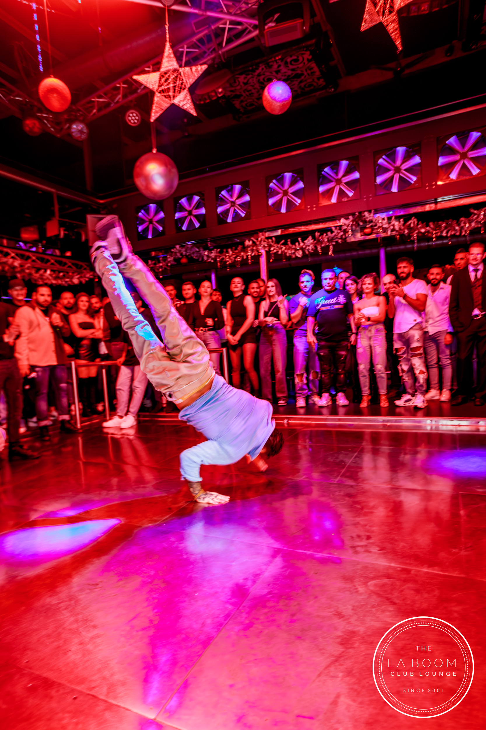 IMG 3654 Verbessert RR