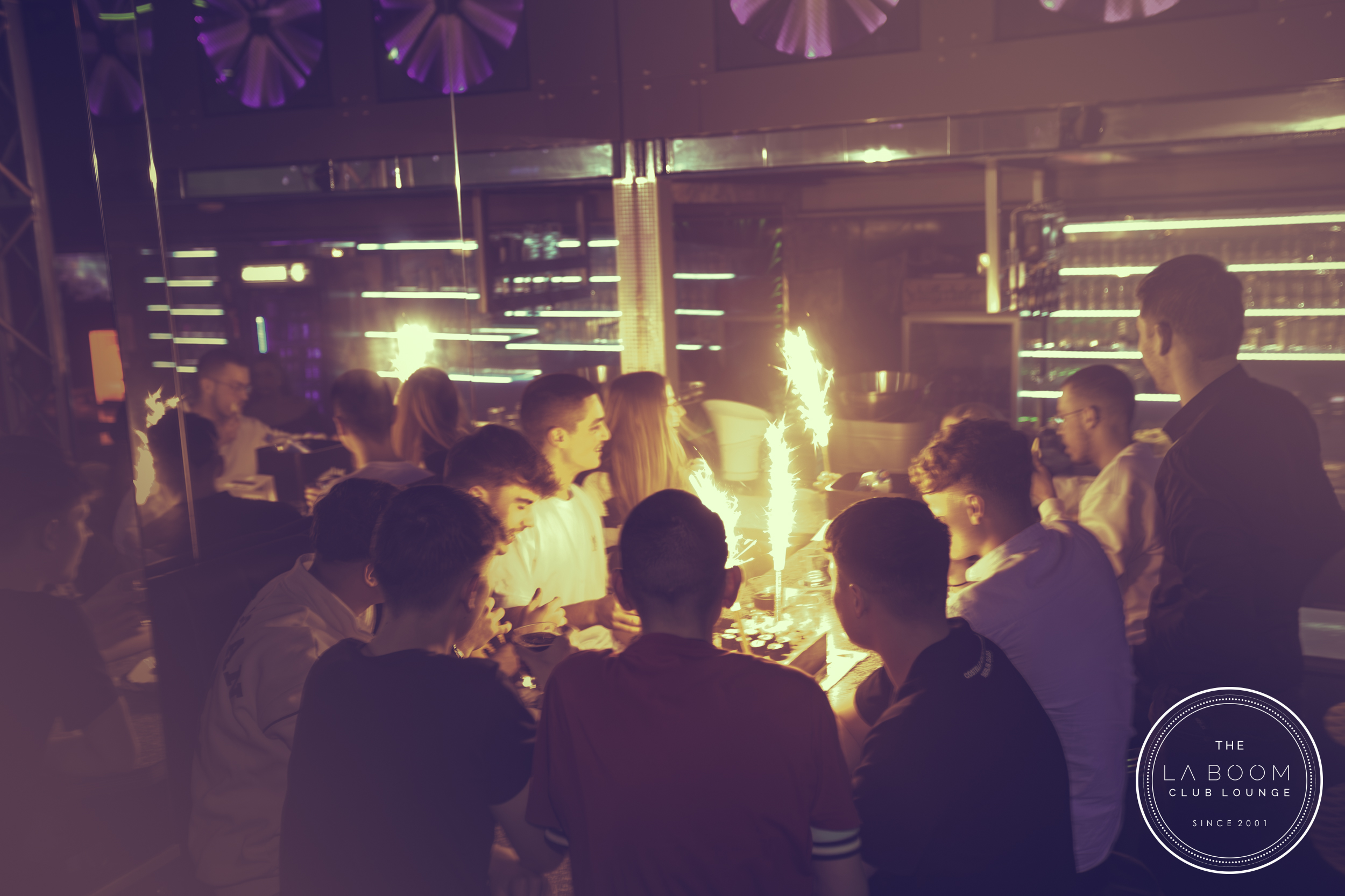 IMG 4119 Verbessert RR