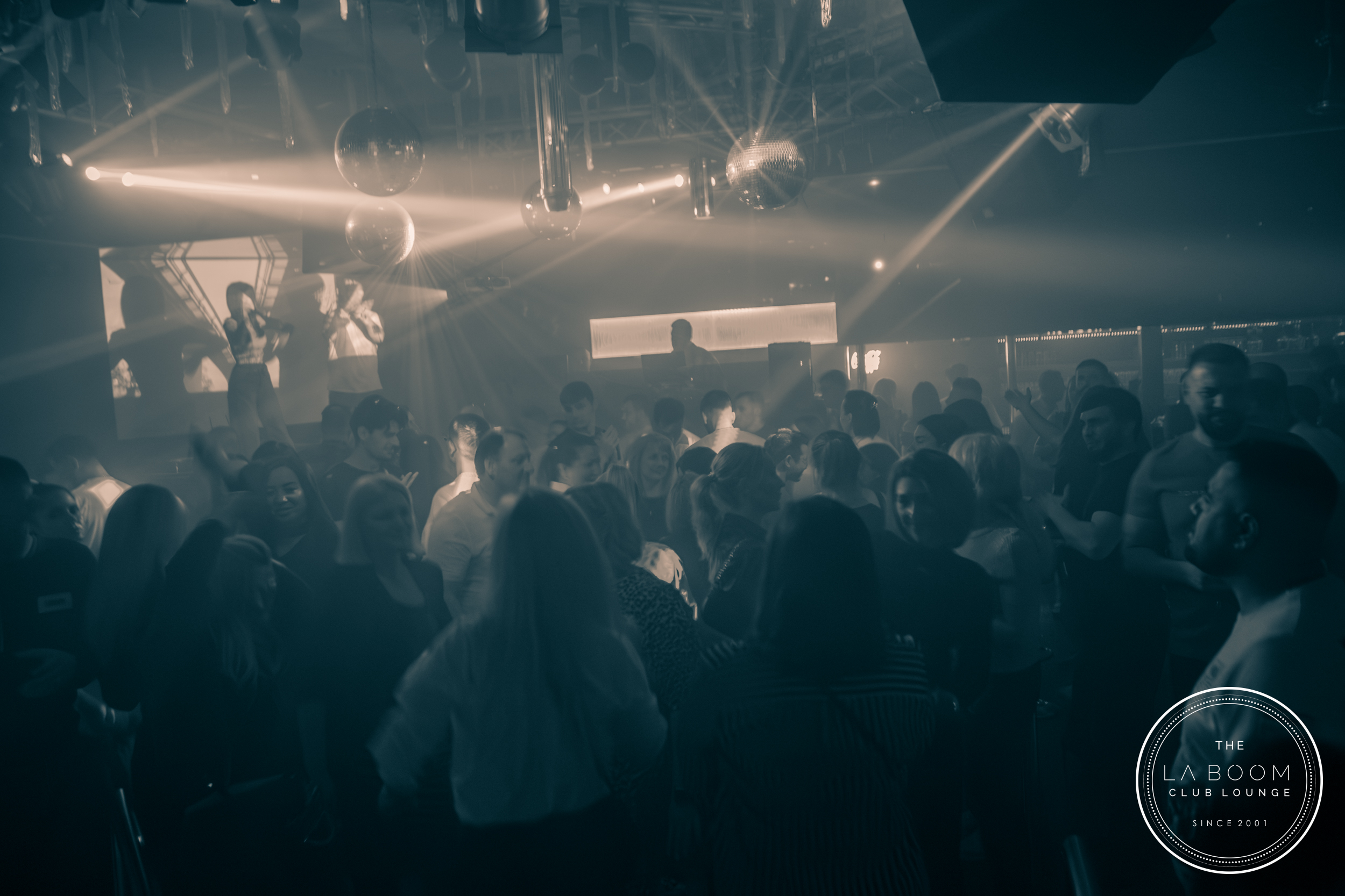 IMG 4146 Verbessert RR